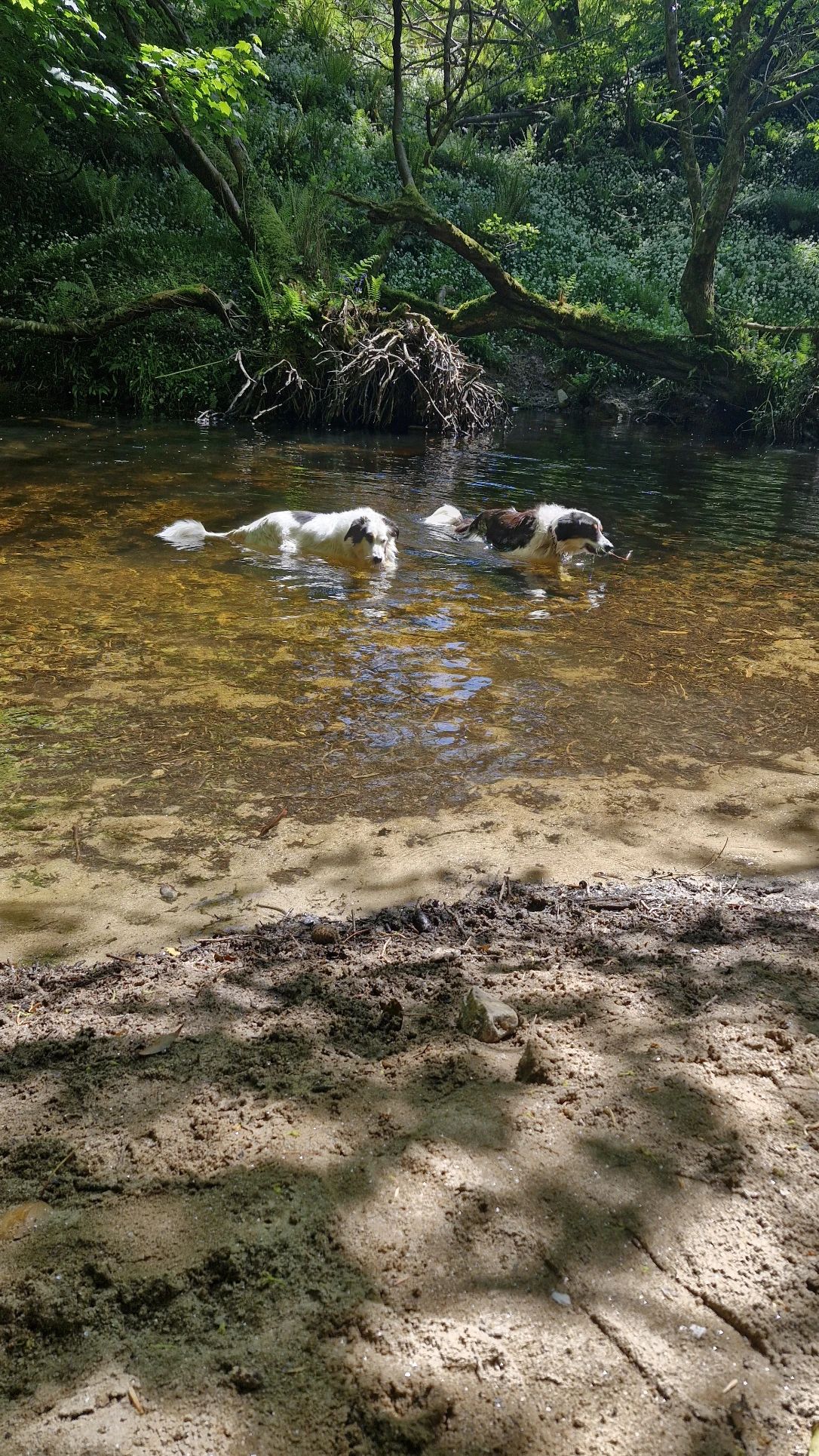 image-5