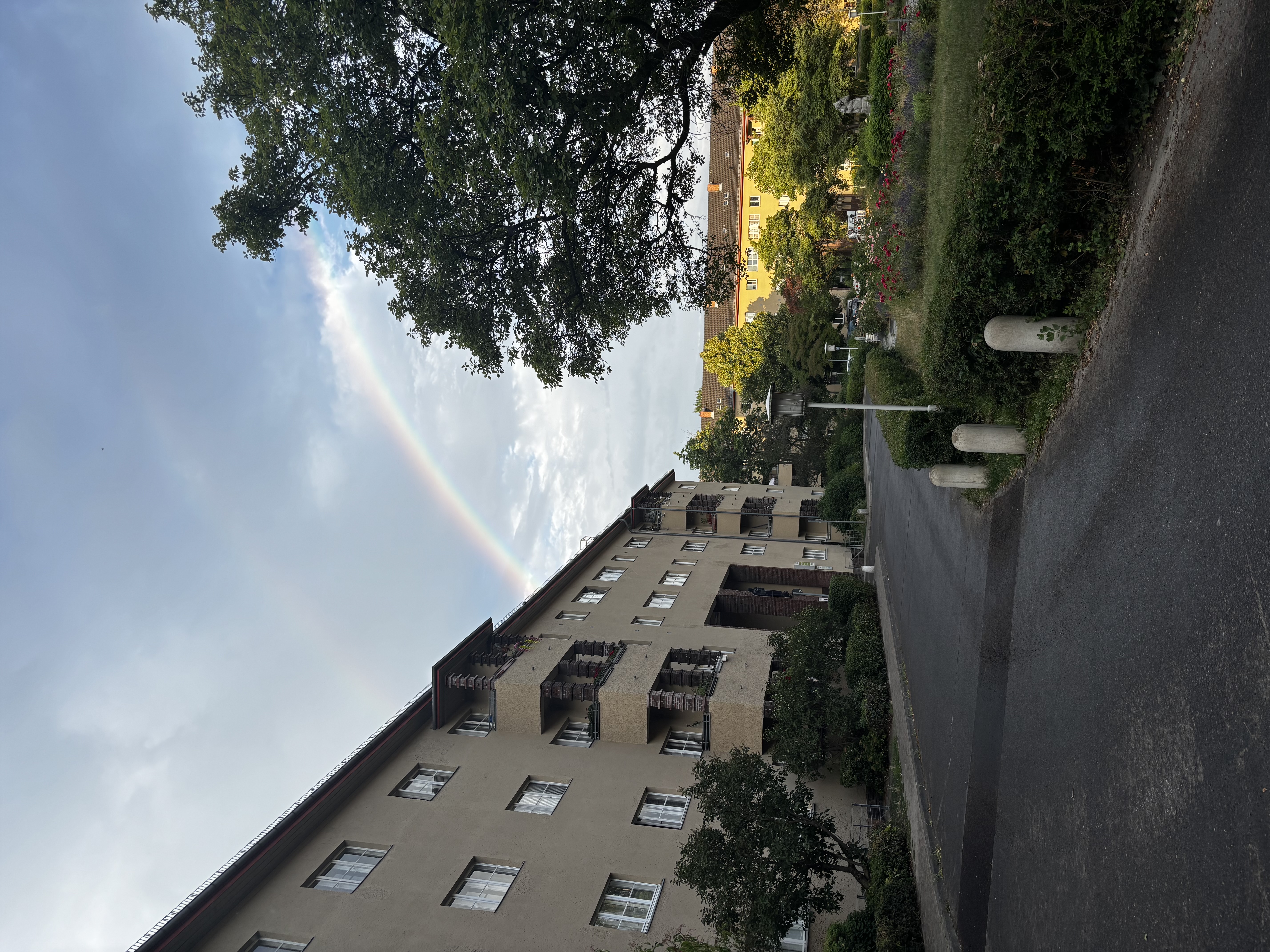 image-7