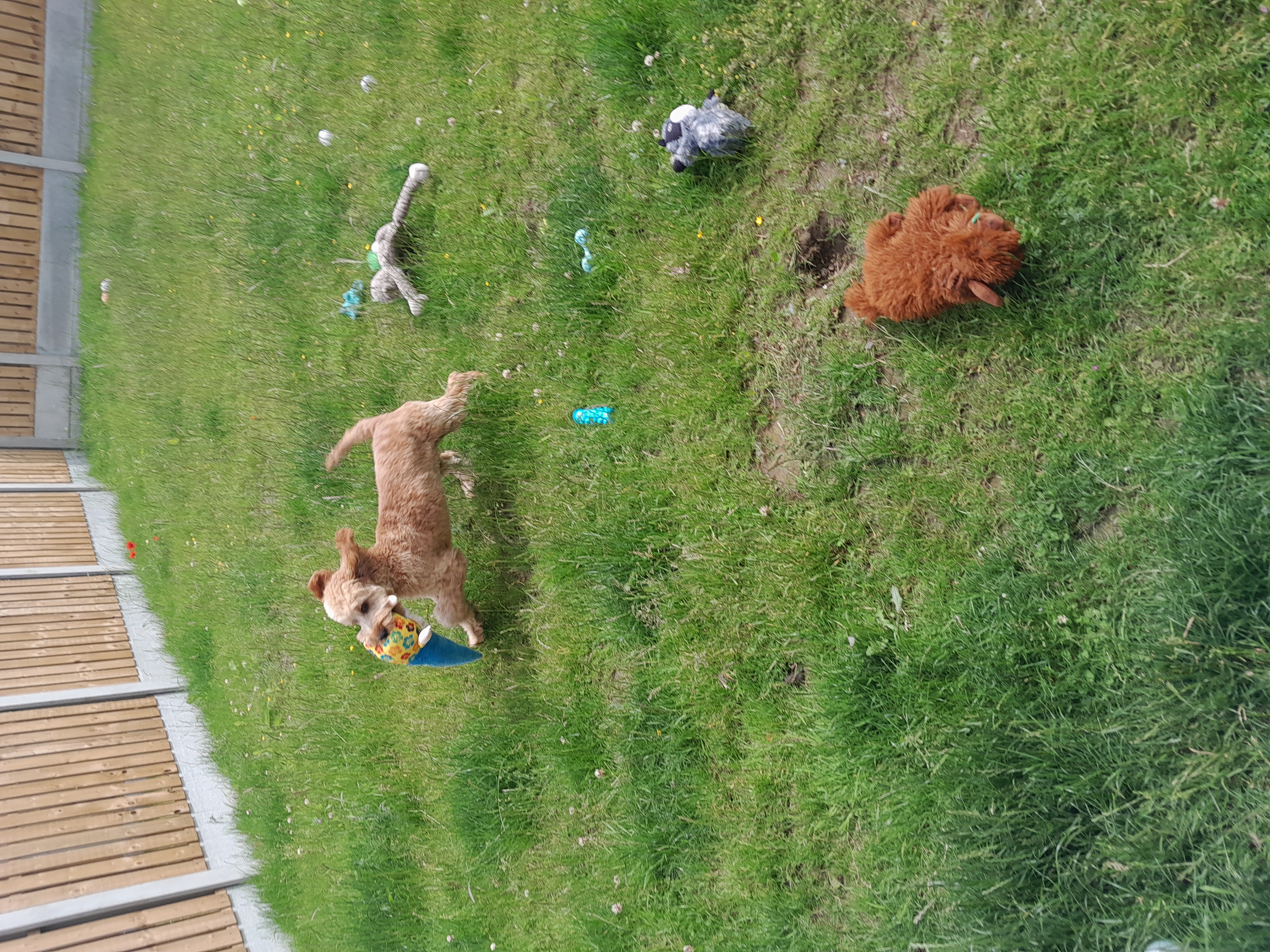 image-4