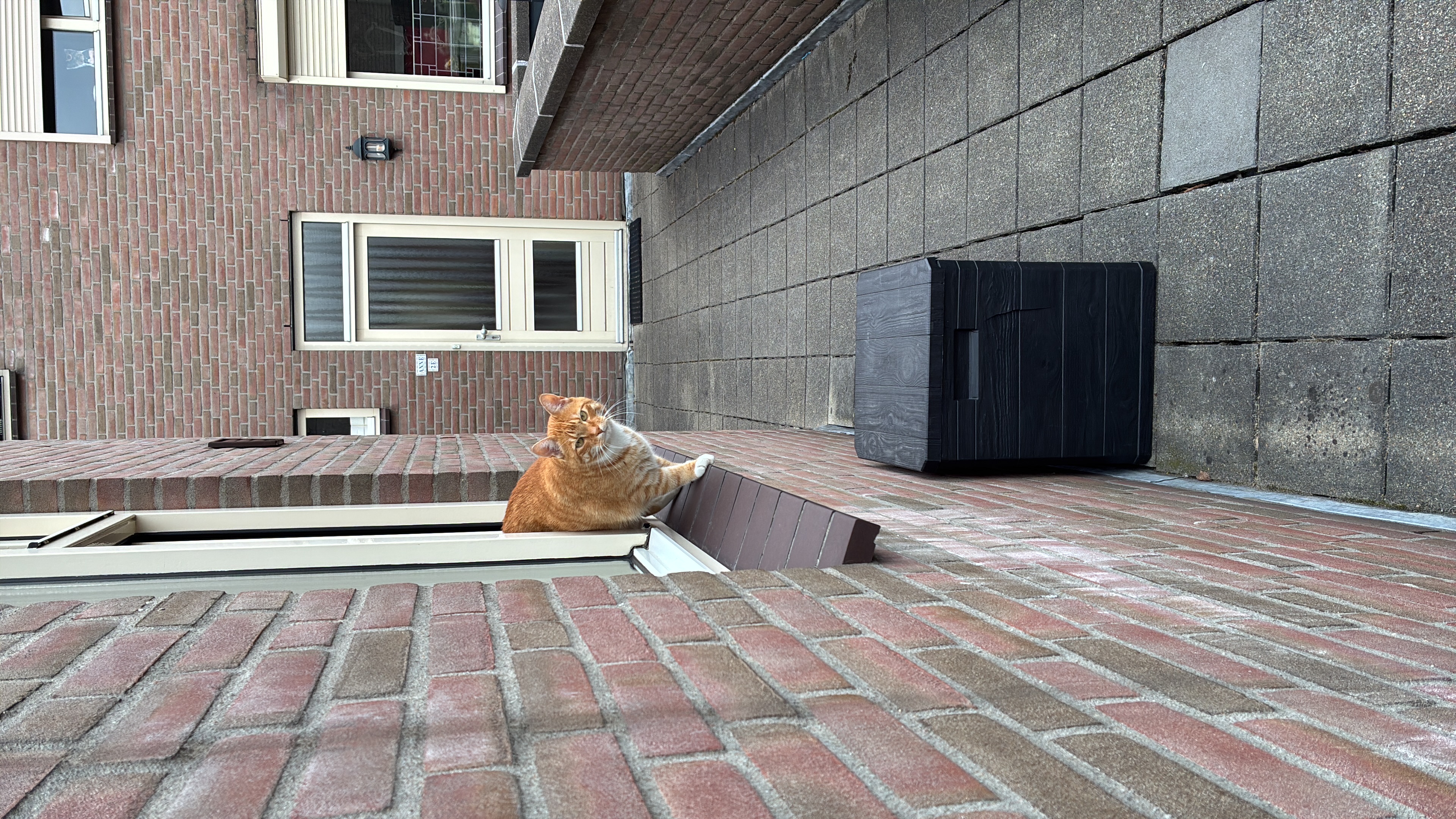 image-11
