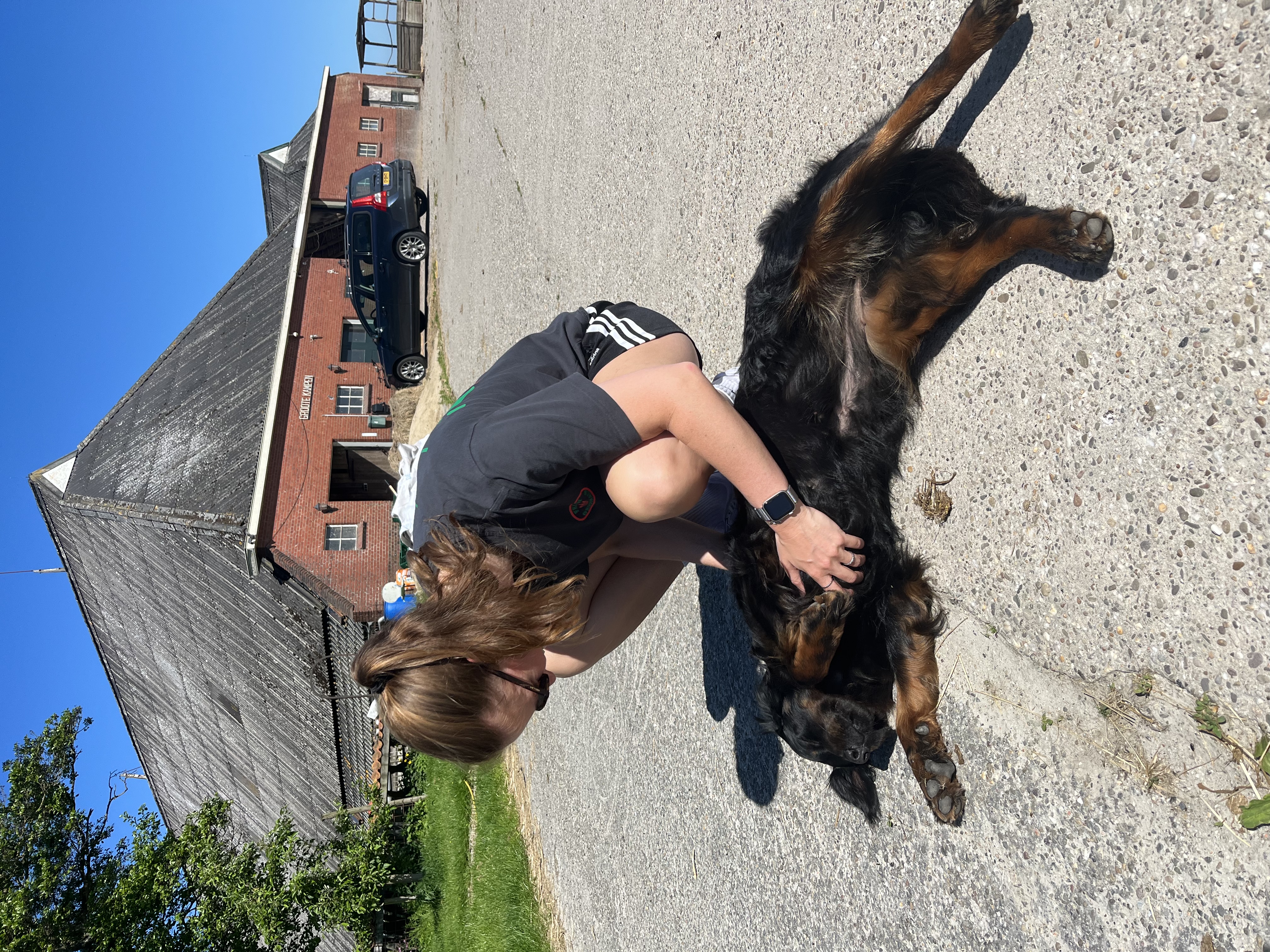 image-15