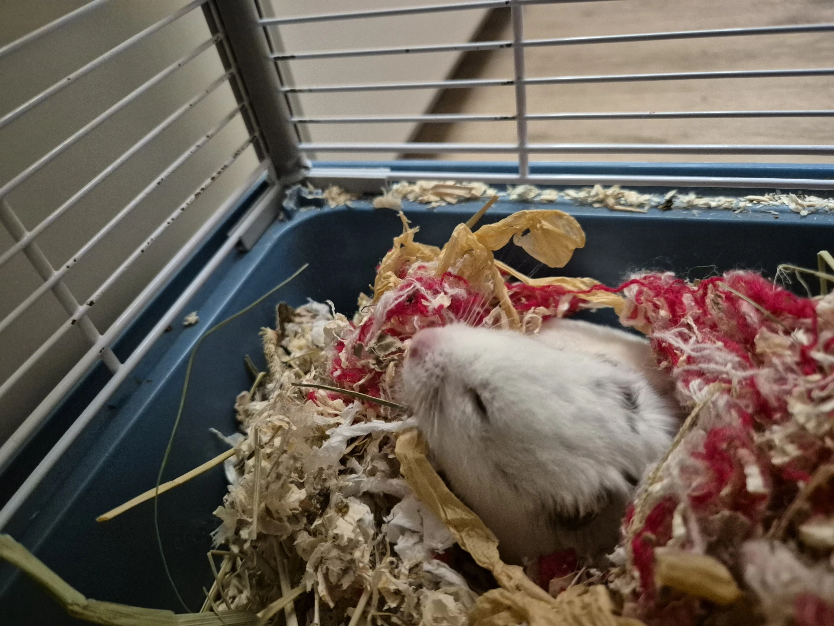 image-11