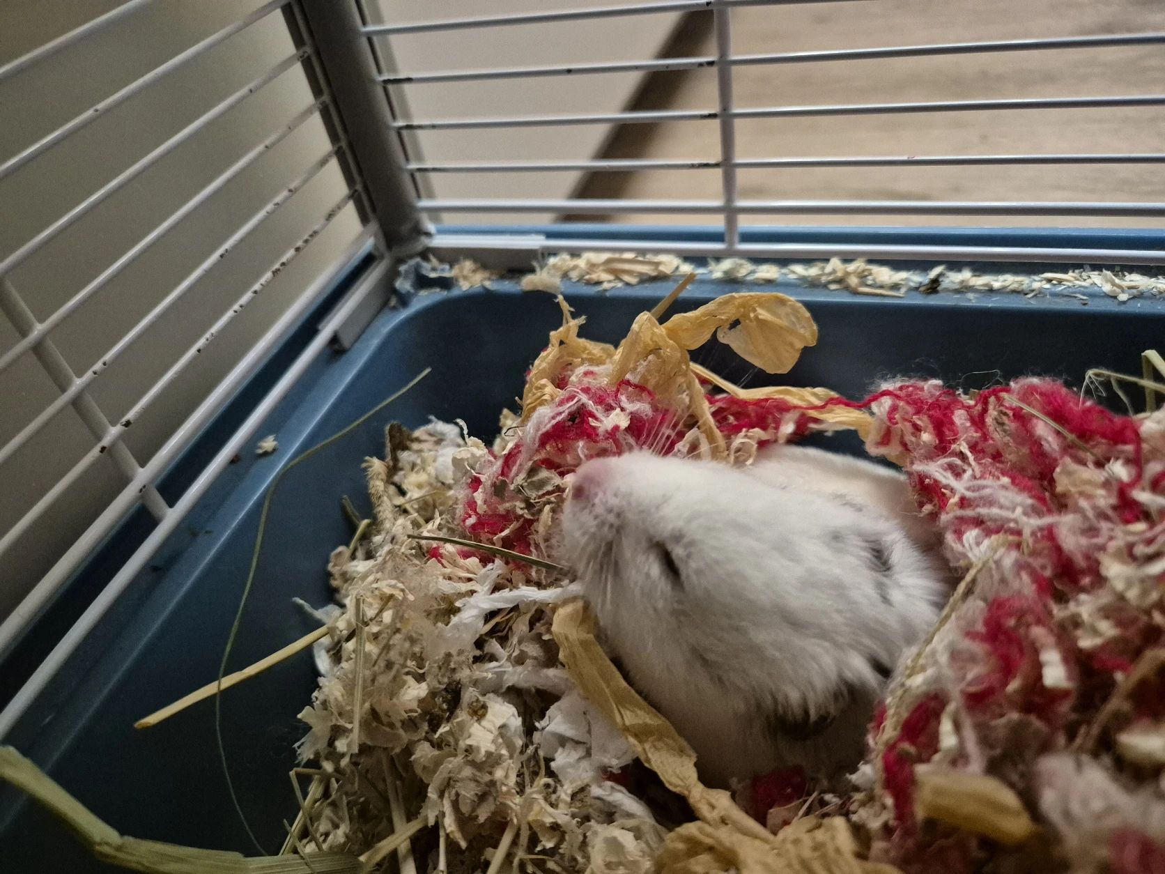 image-11