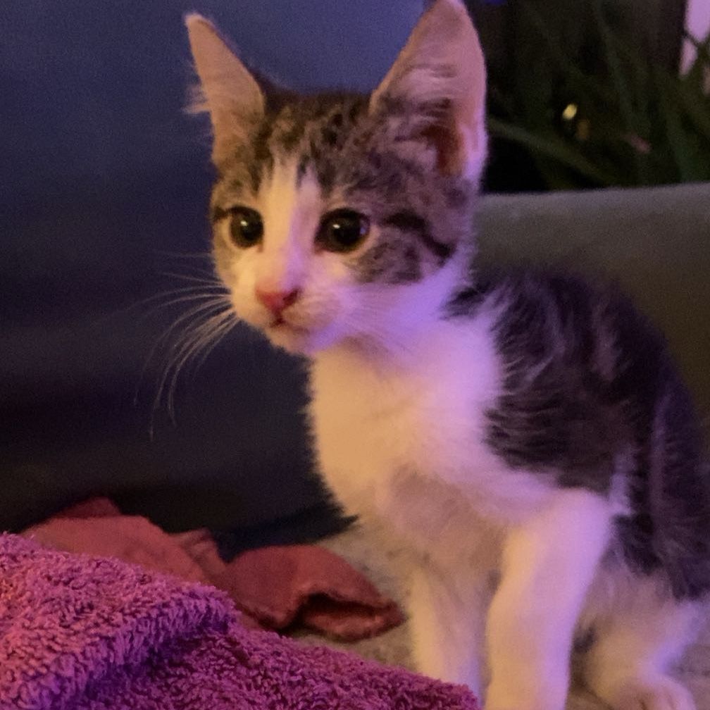 Maggie