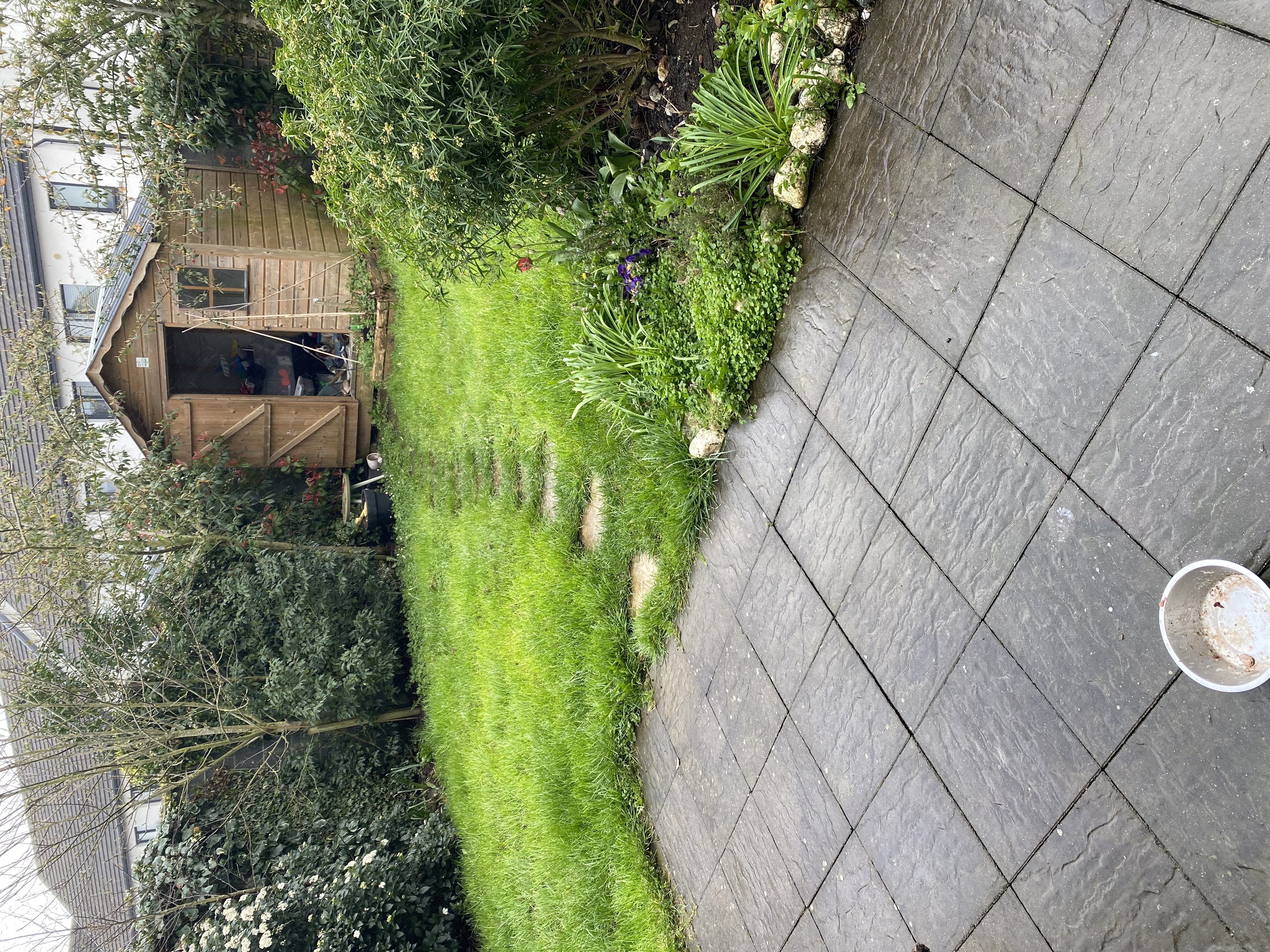 image-7