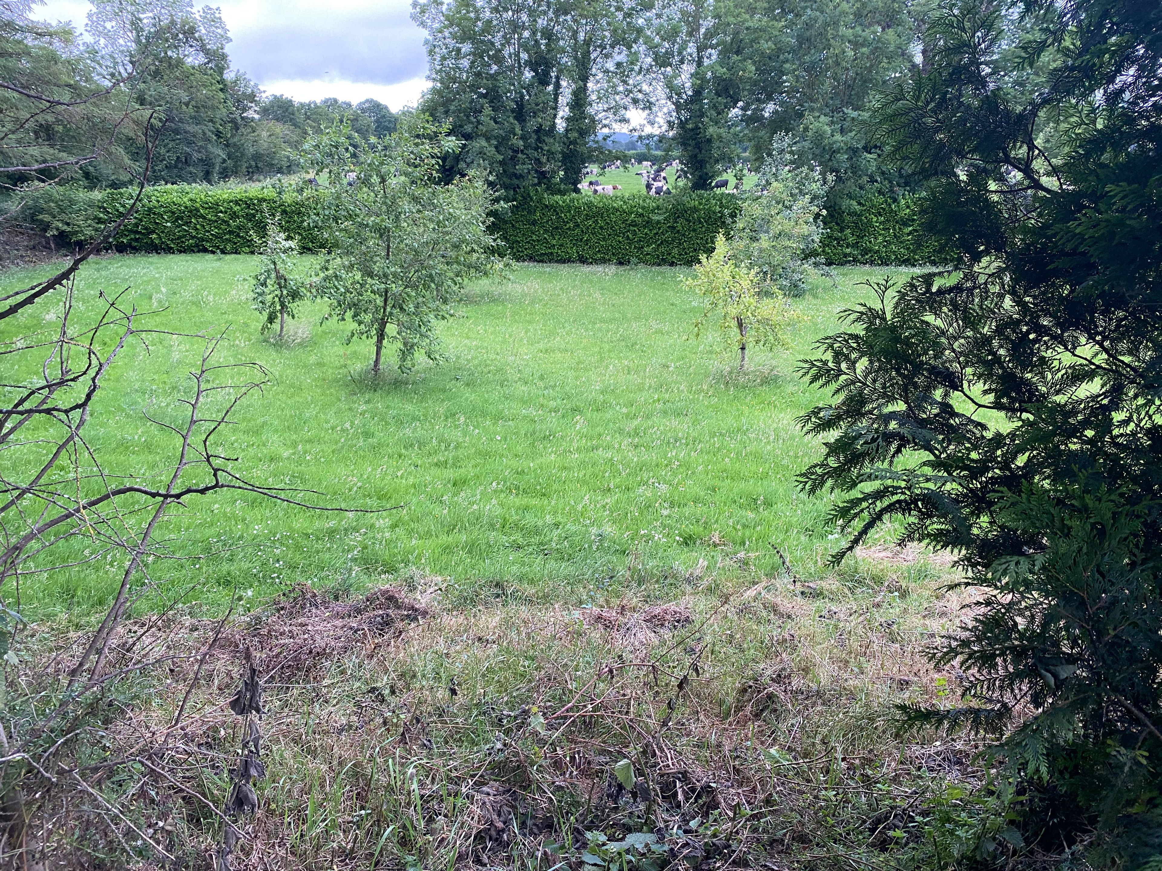 image-9