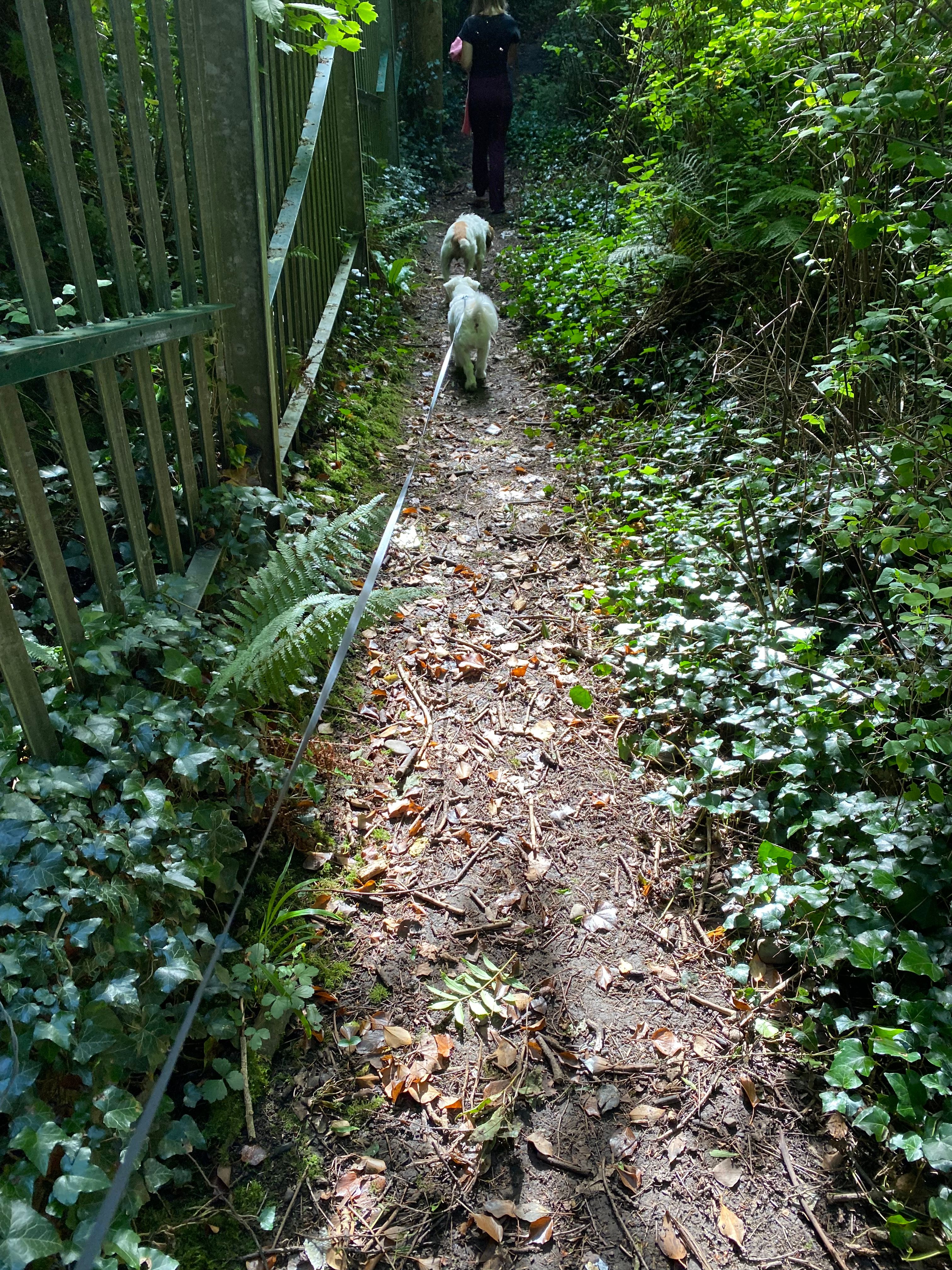 image-7