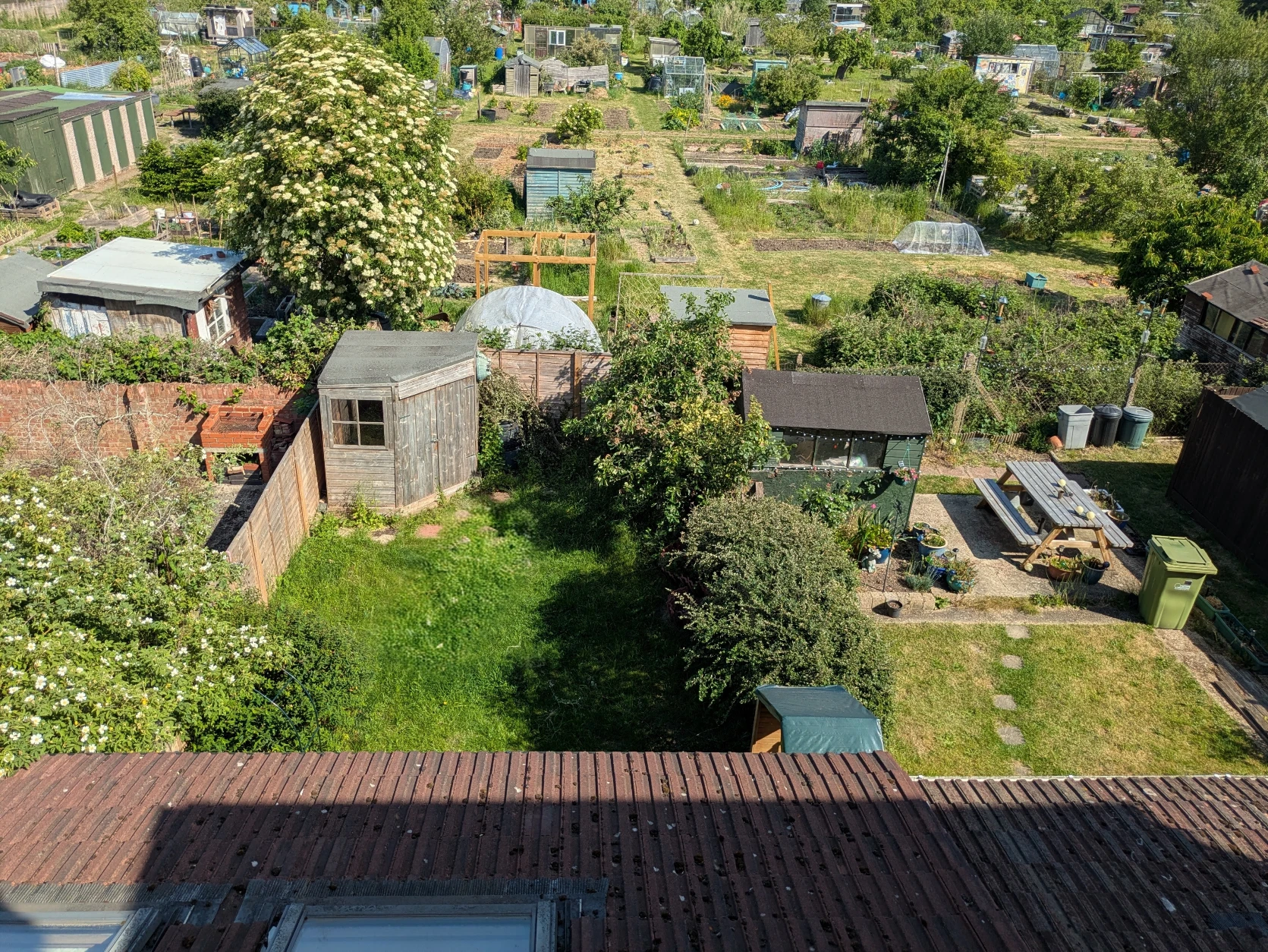 image-12