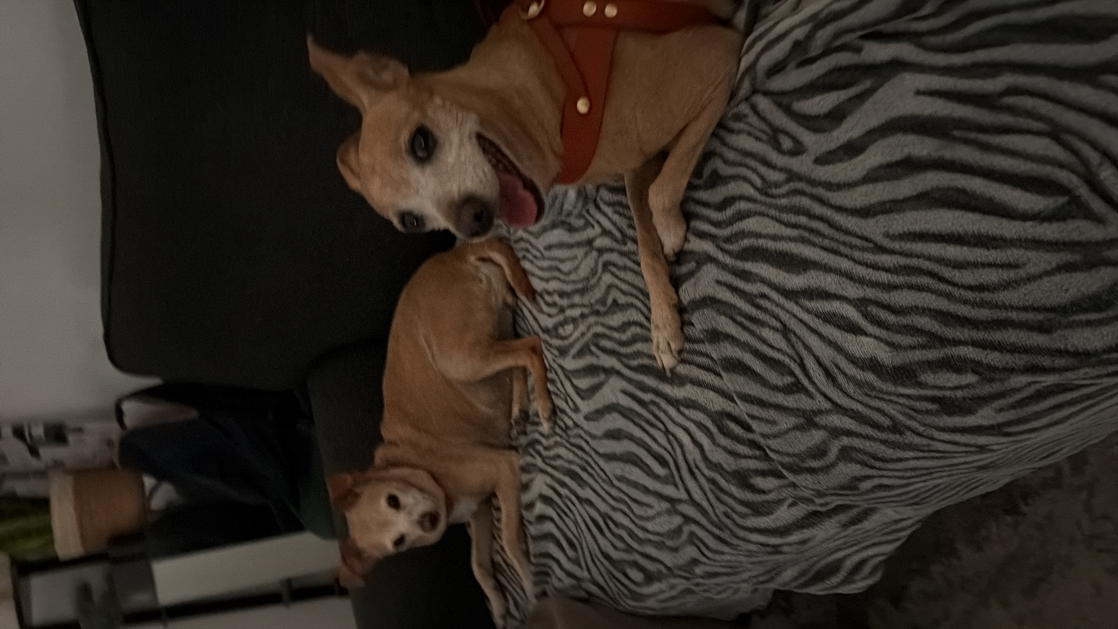 image-12