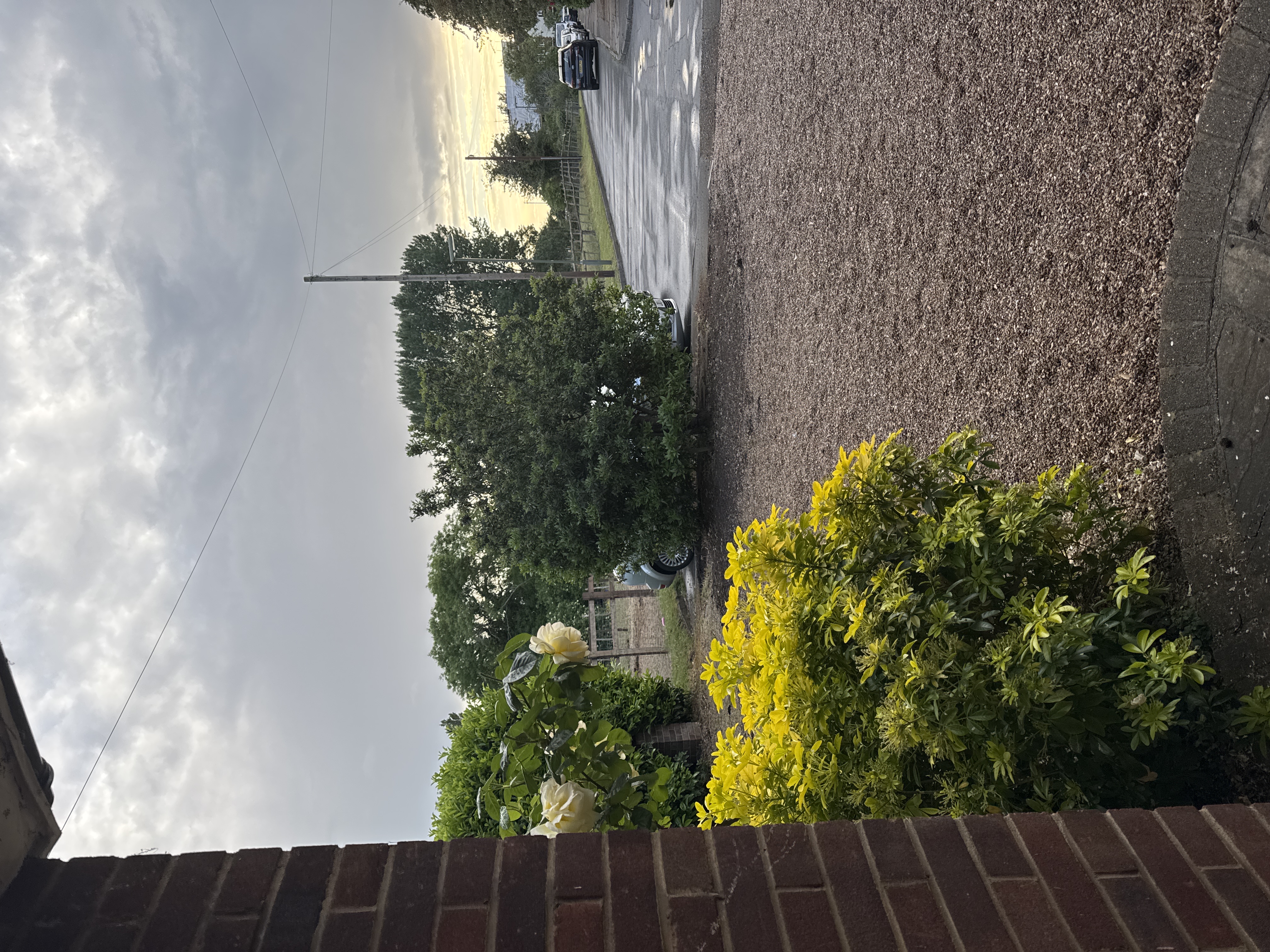 image-17