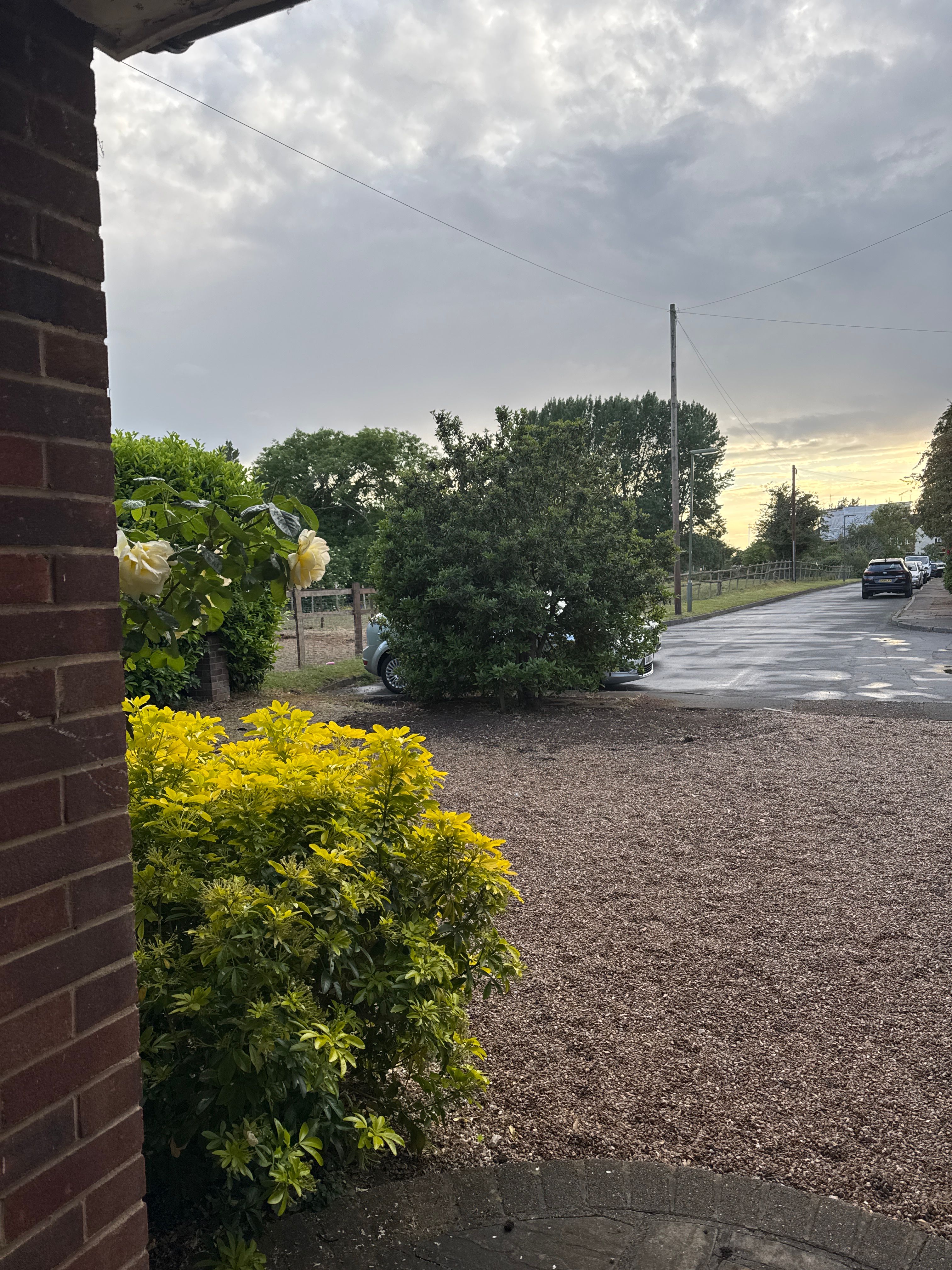 image-17