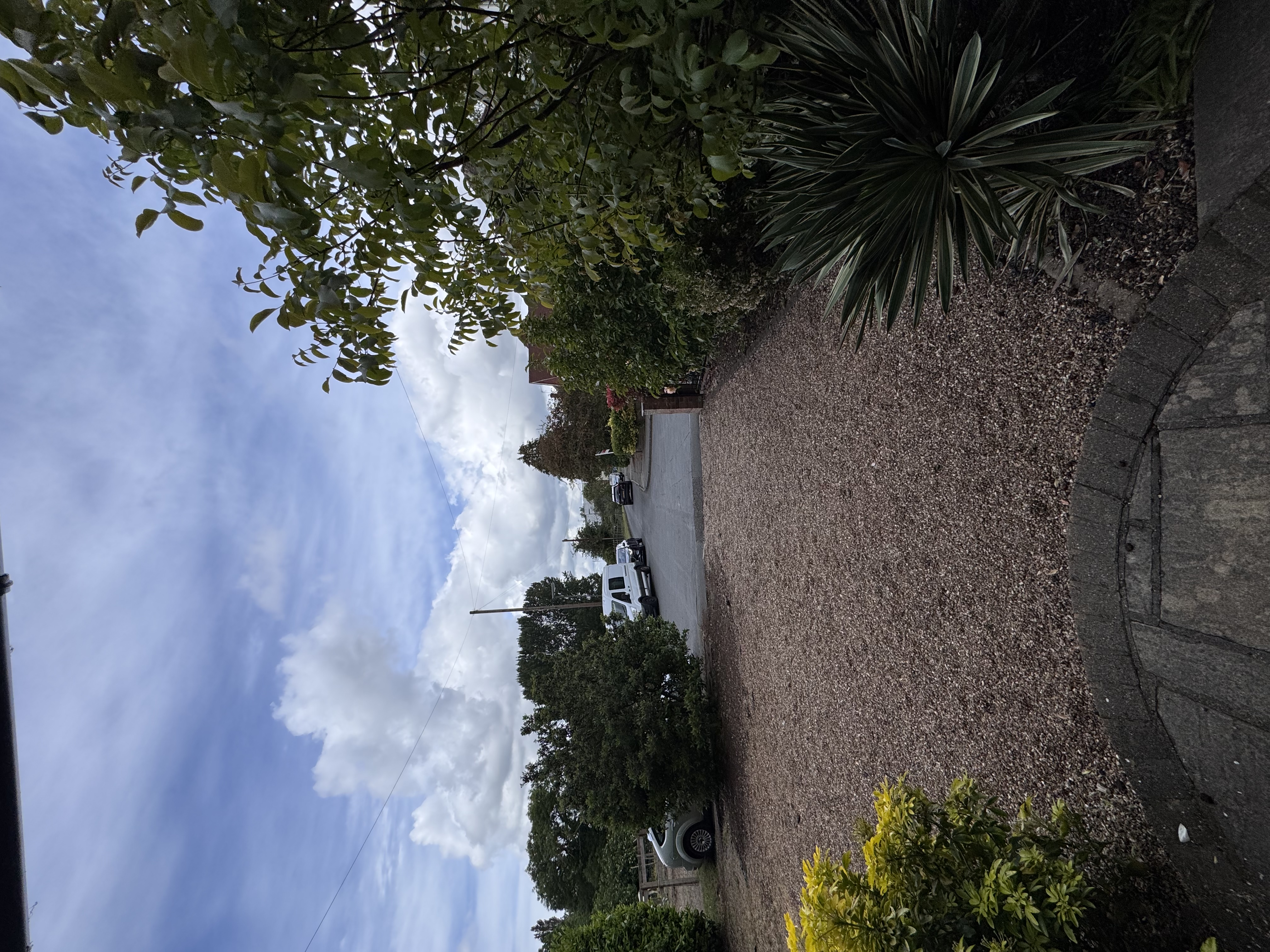 image-16