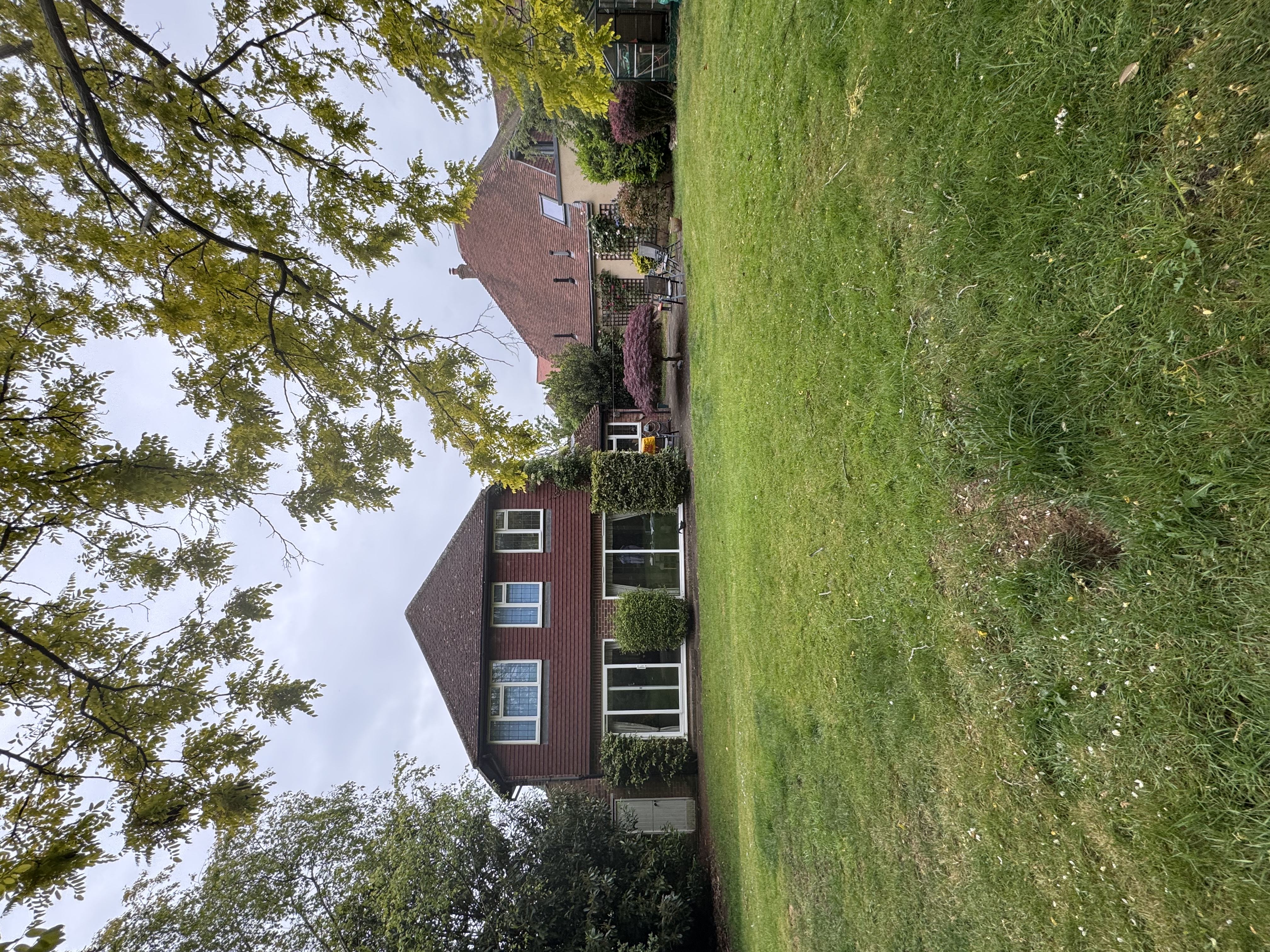 image-14