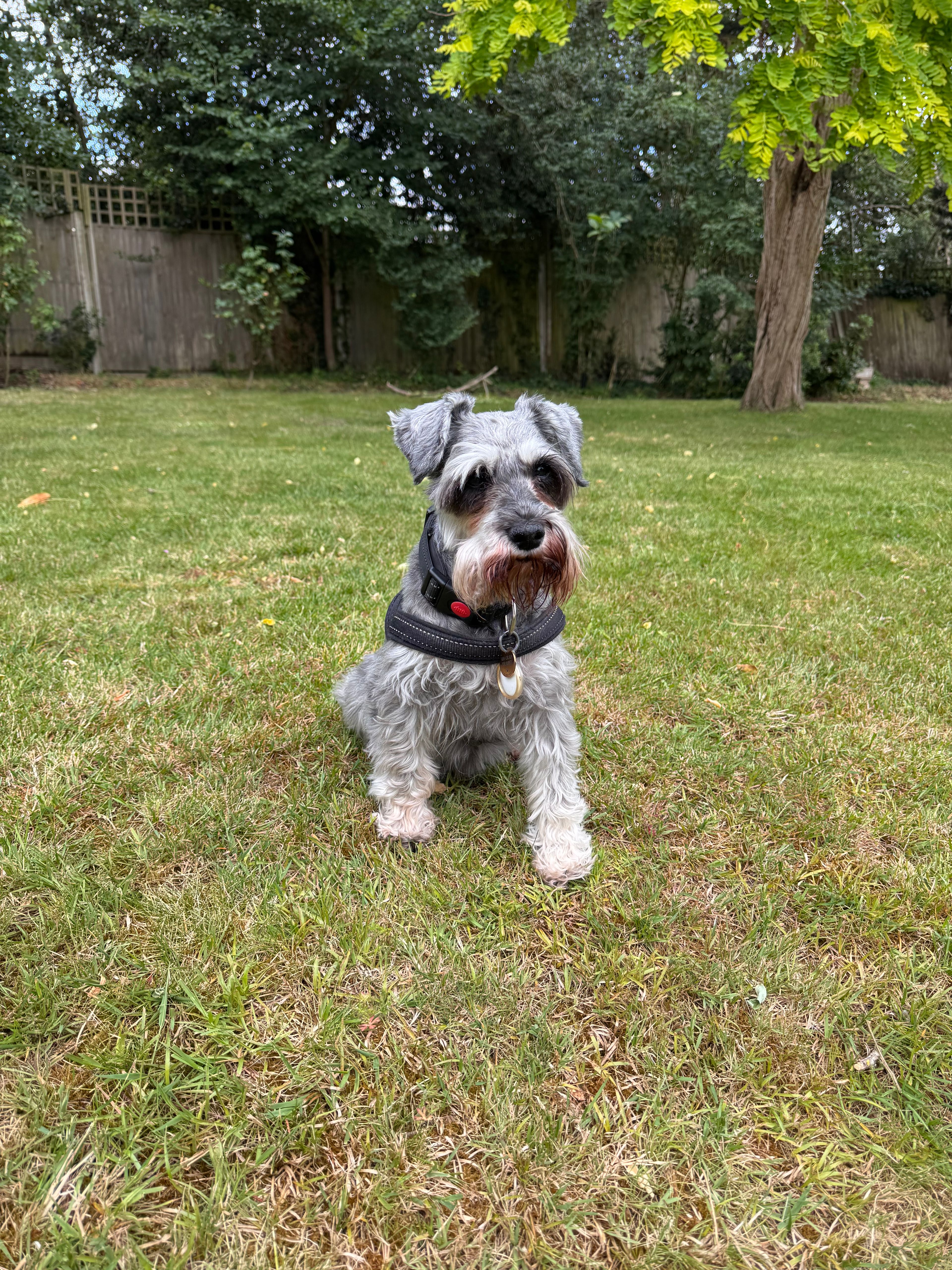 image-11