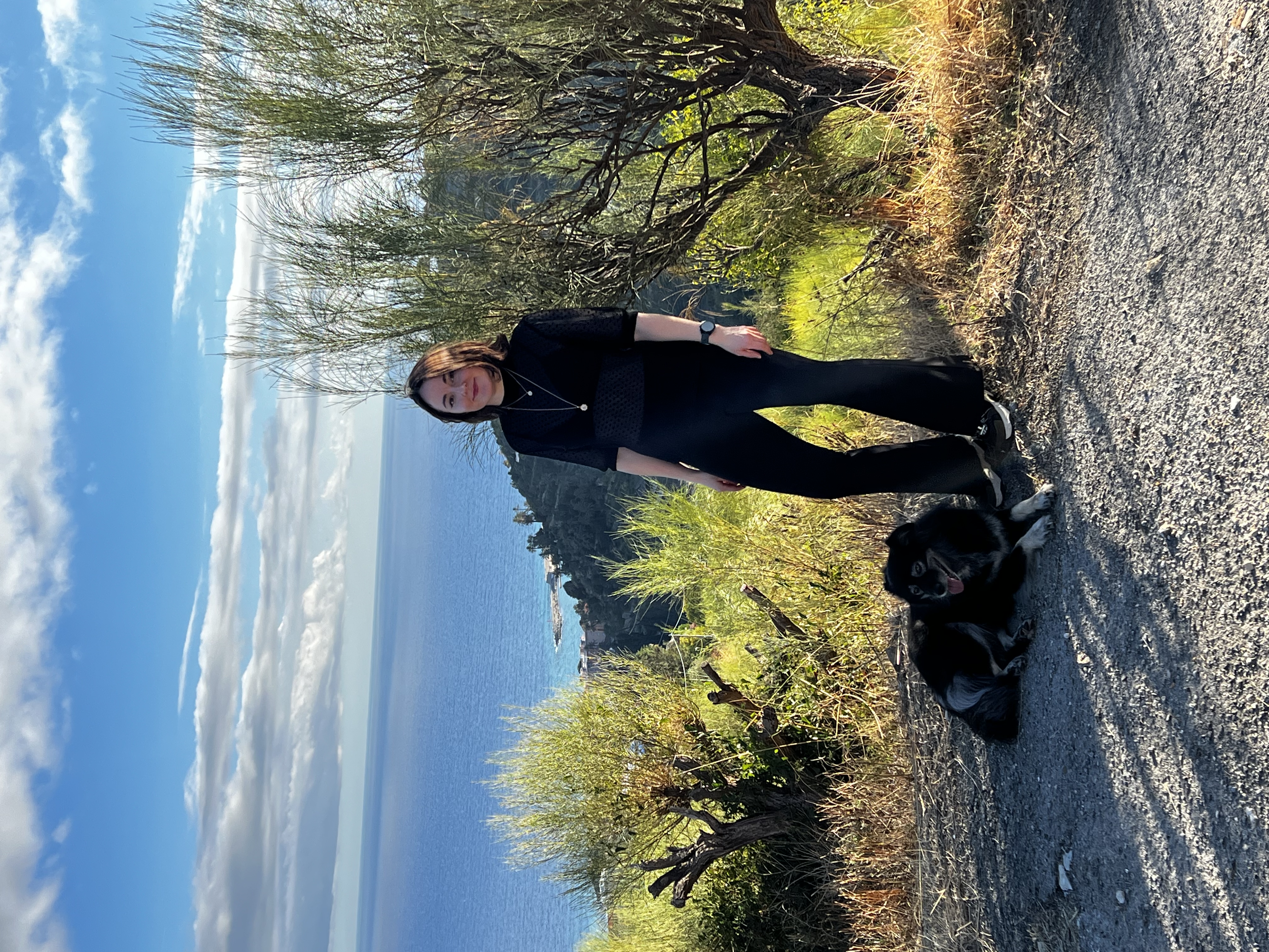 image-1
