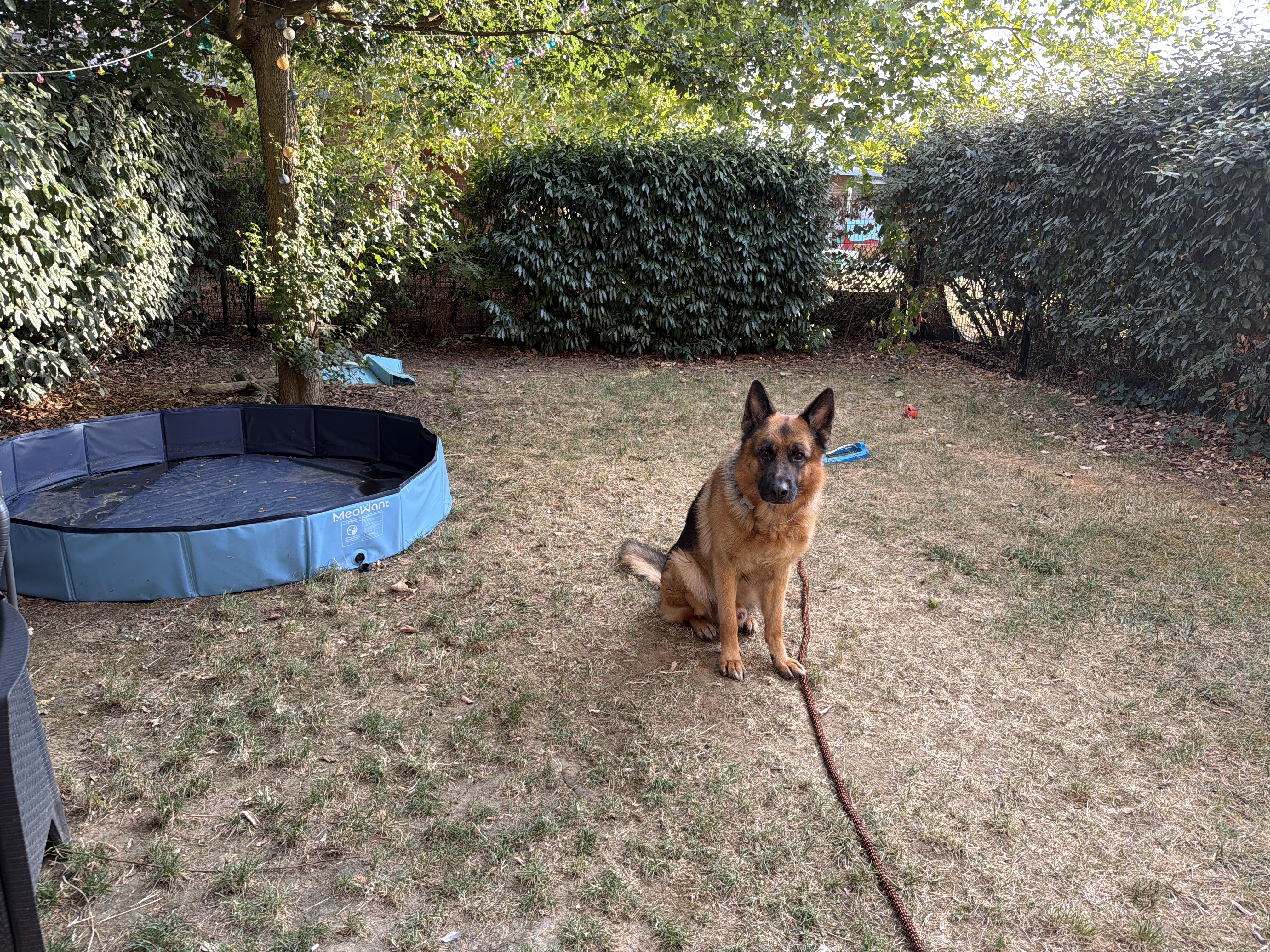 image-15