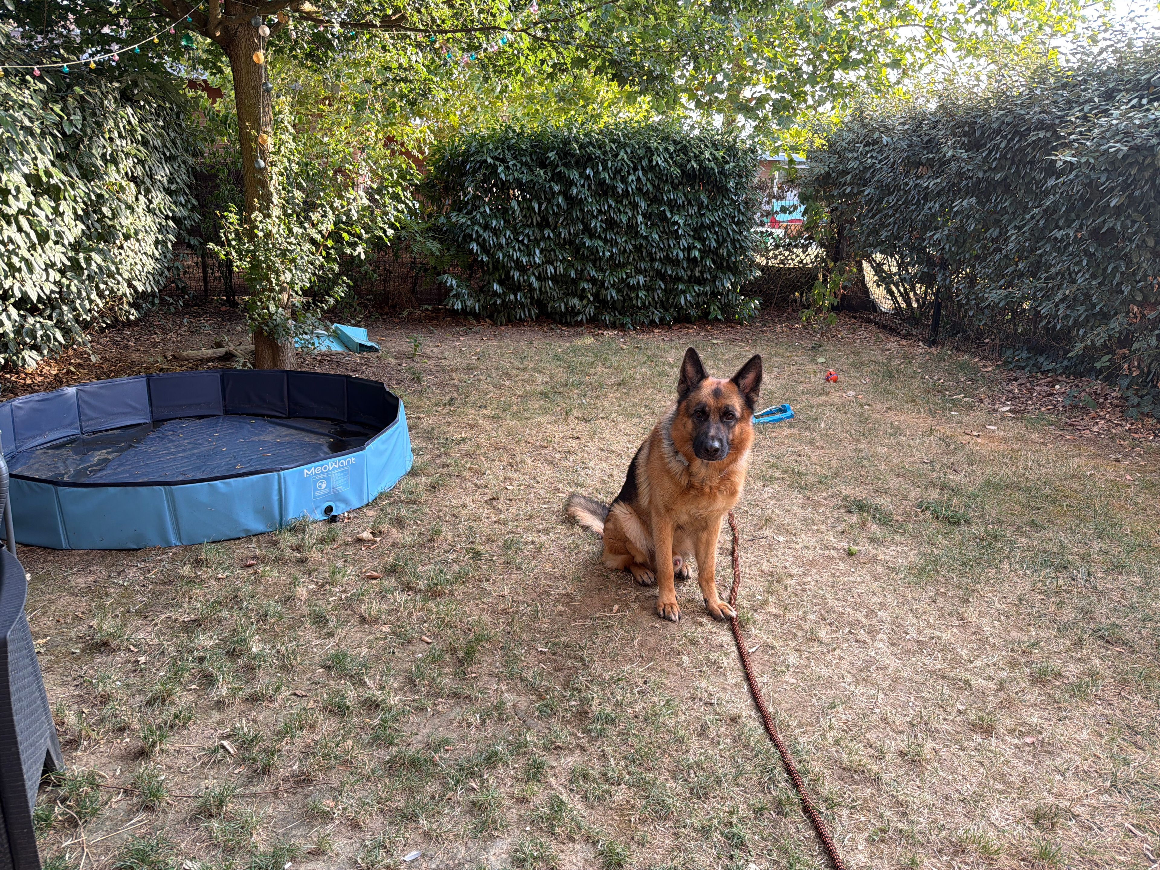 image-15