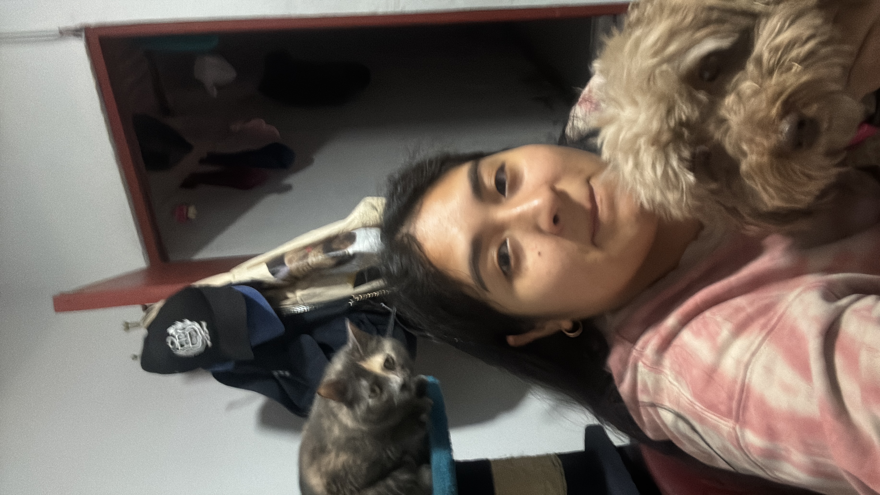 image-6