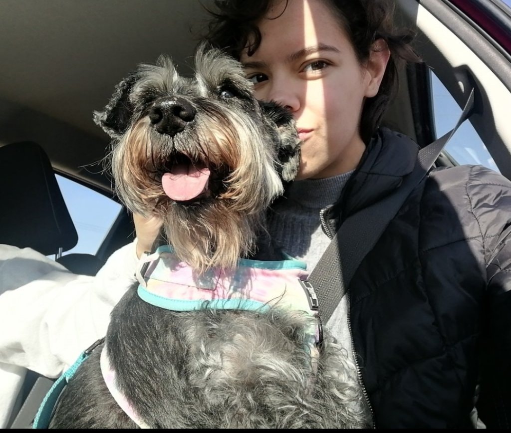 image-7