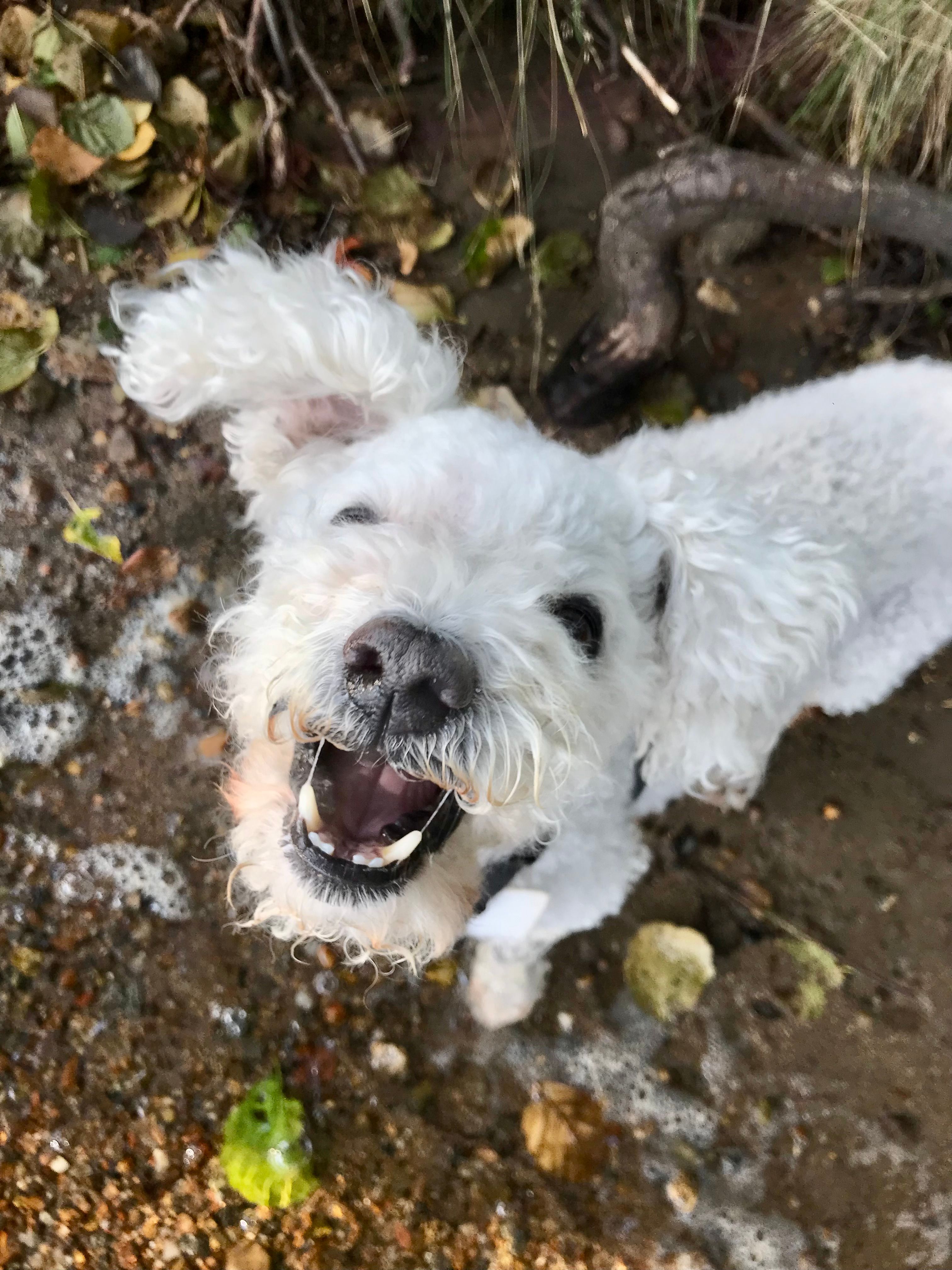image-21