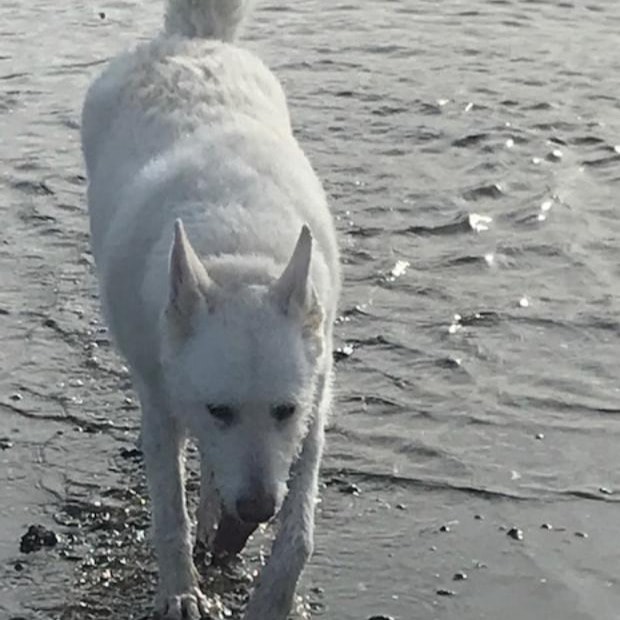 Raffles Raf for short