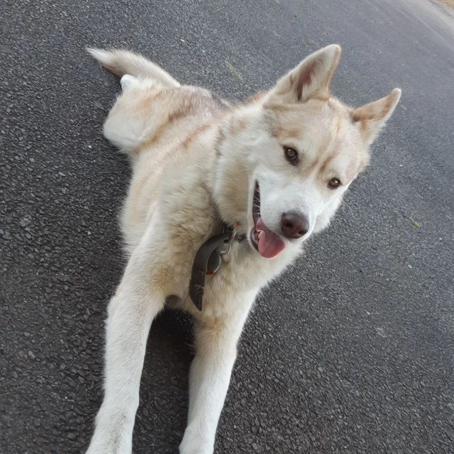 Léo 