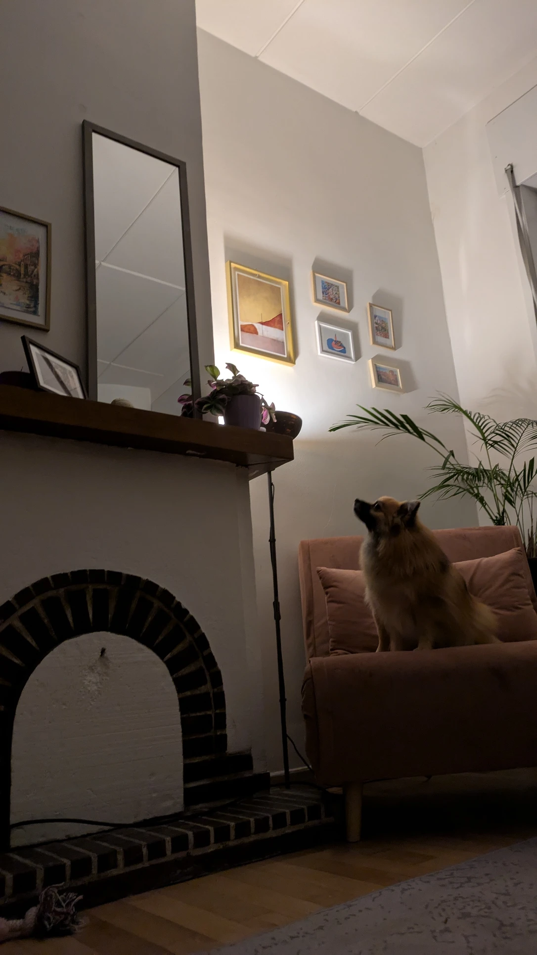 image-12