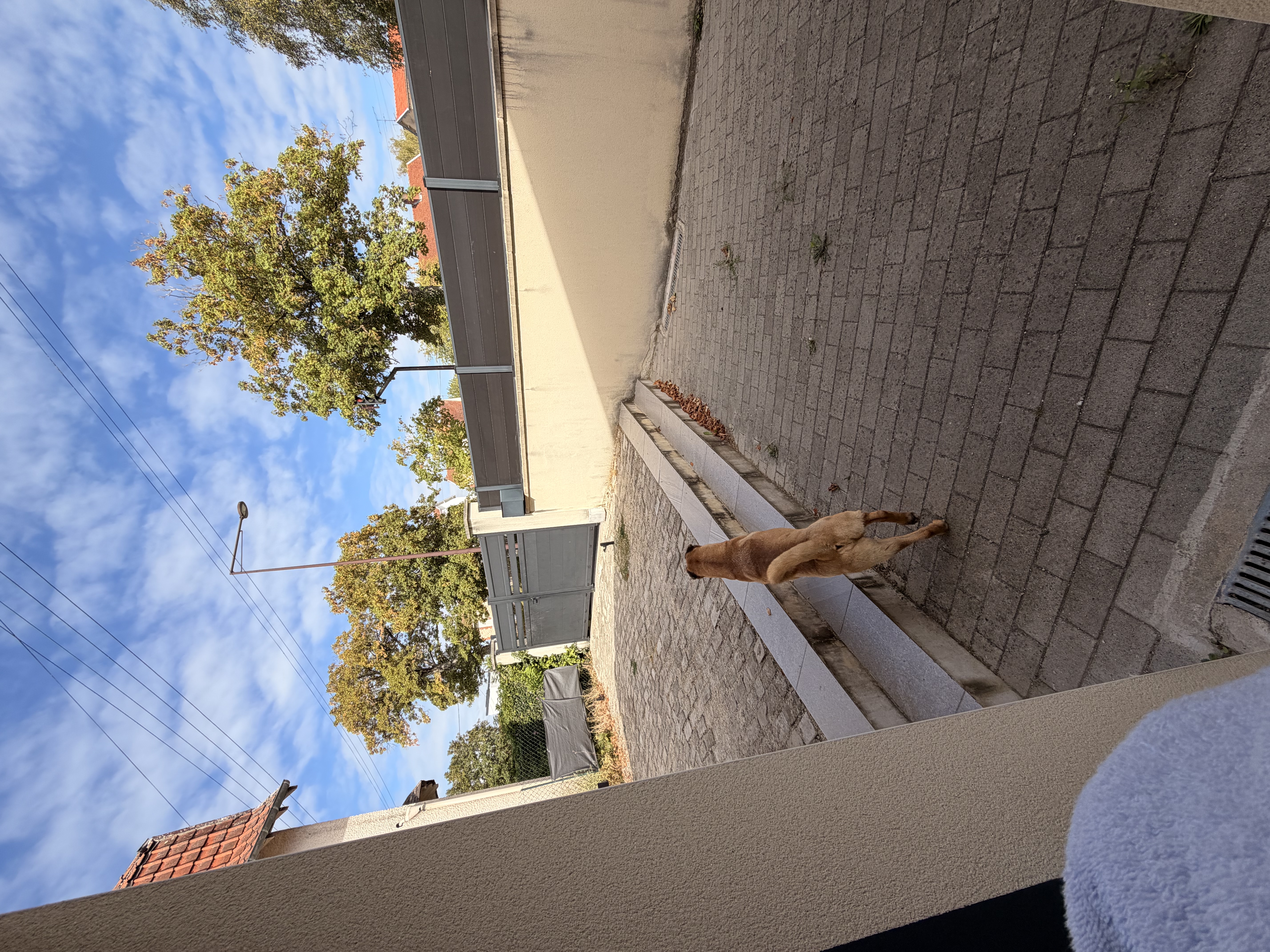 image-14