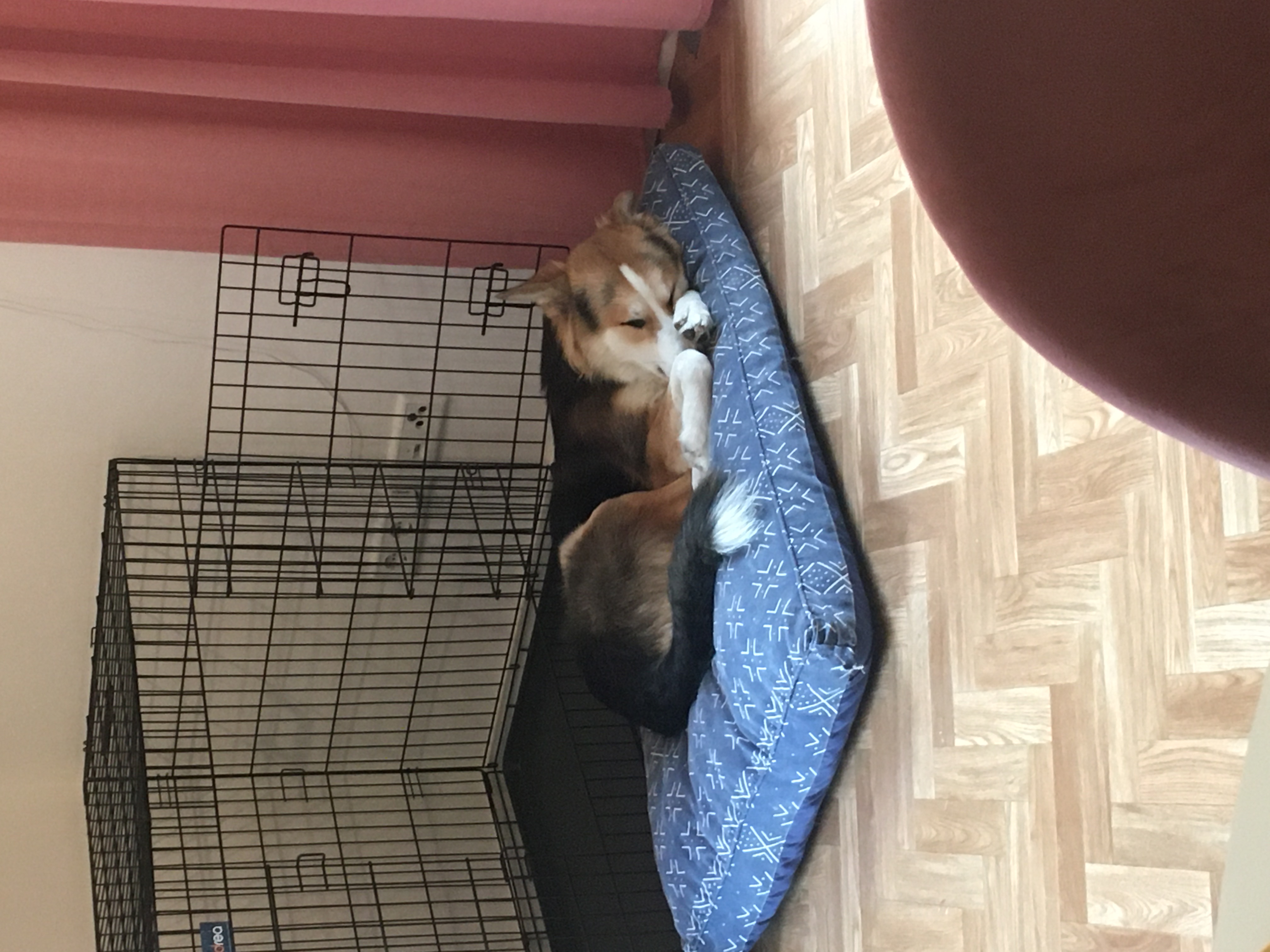 image-9