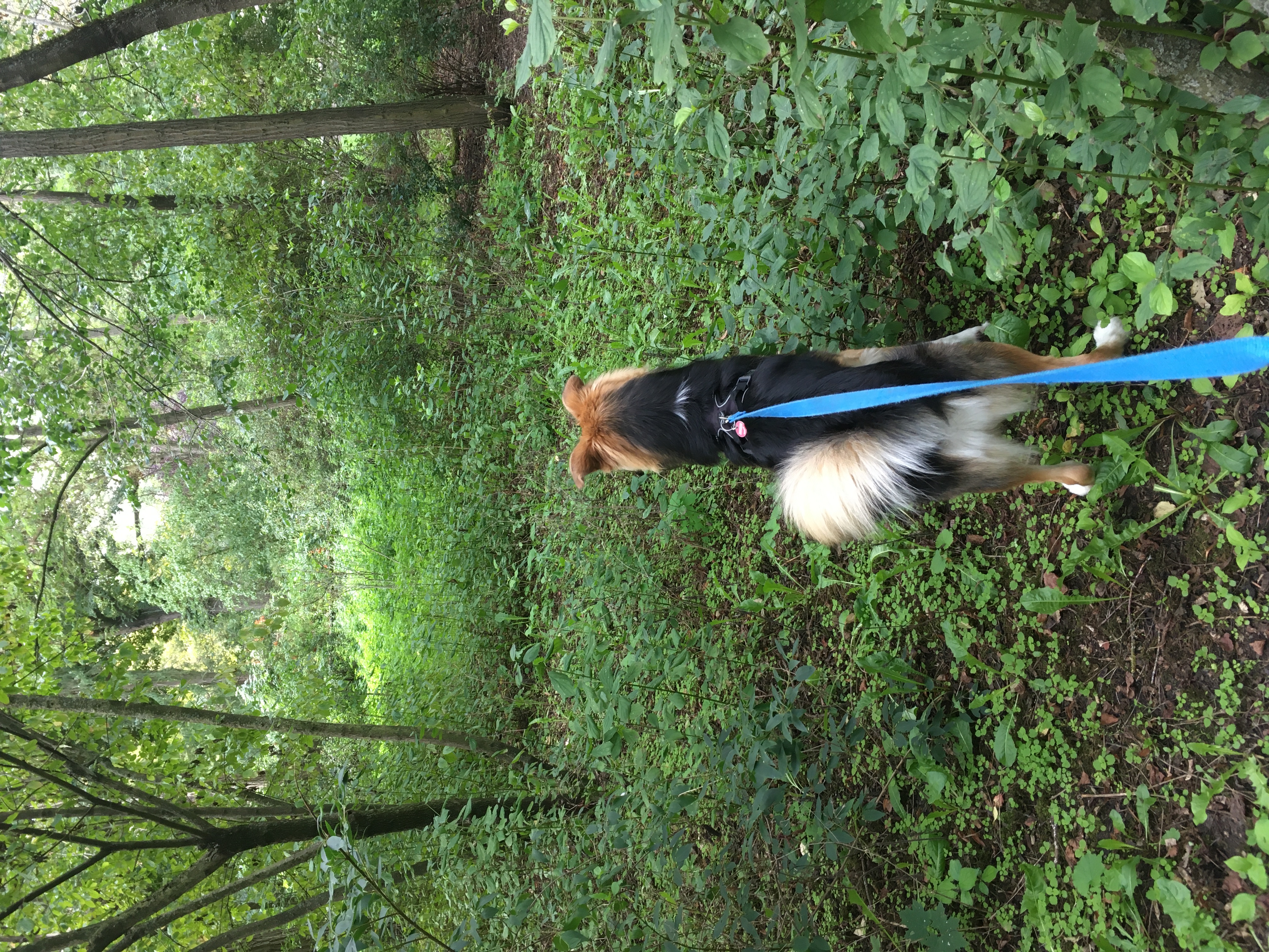 image-10