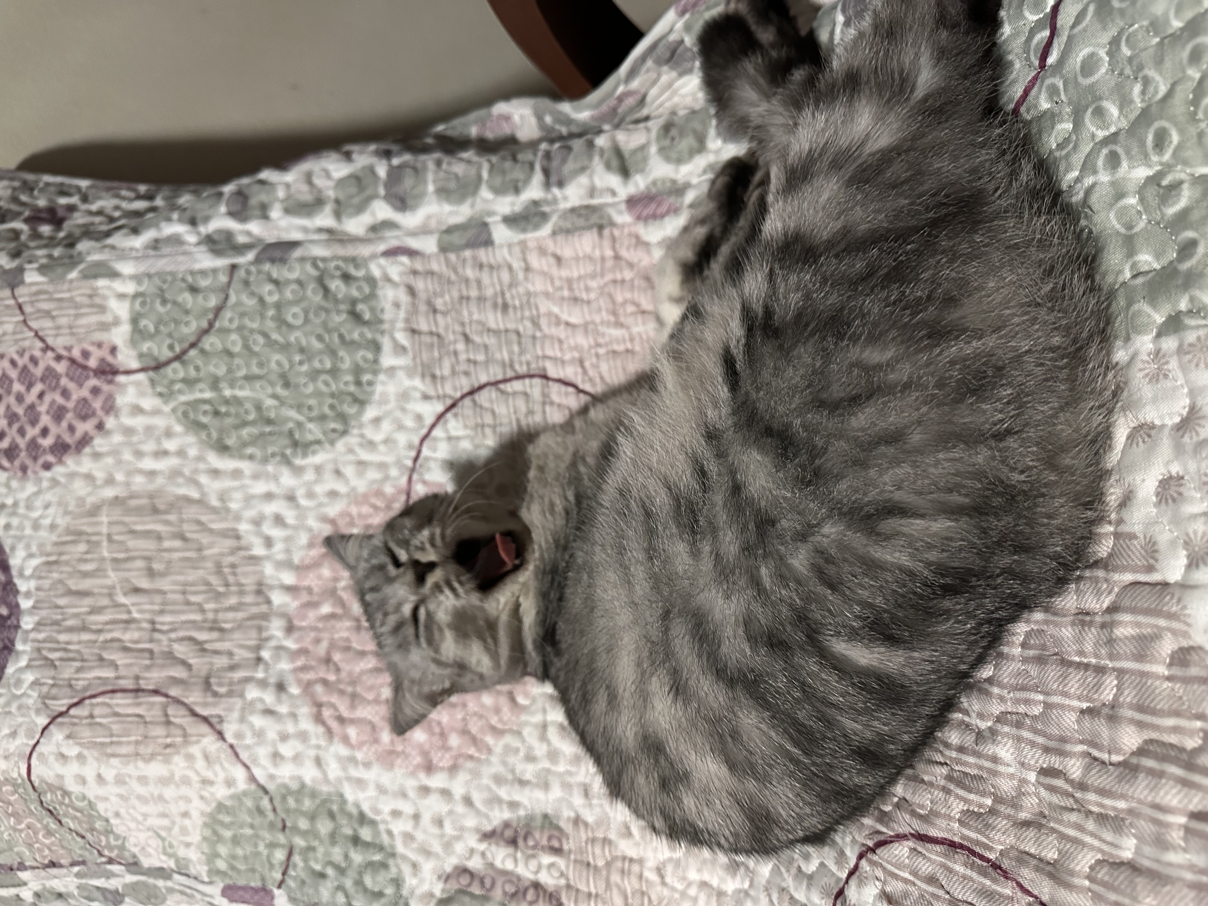 image-6