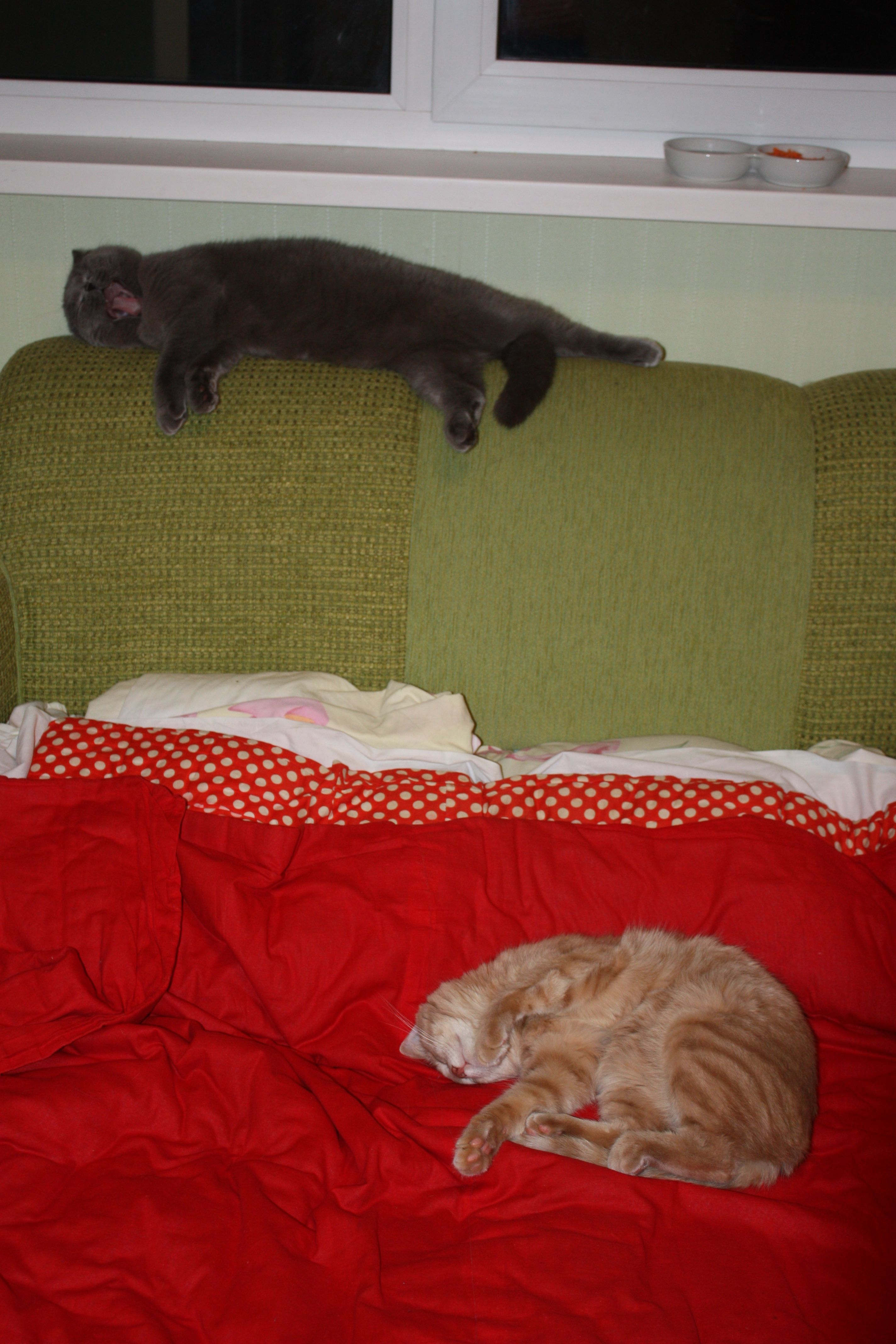 image-5