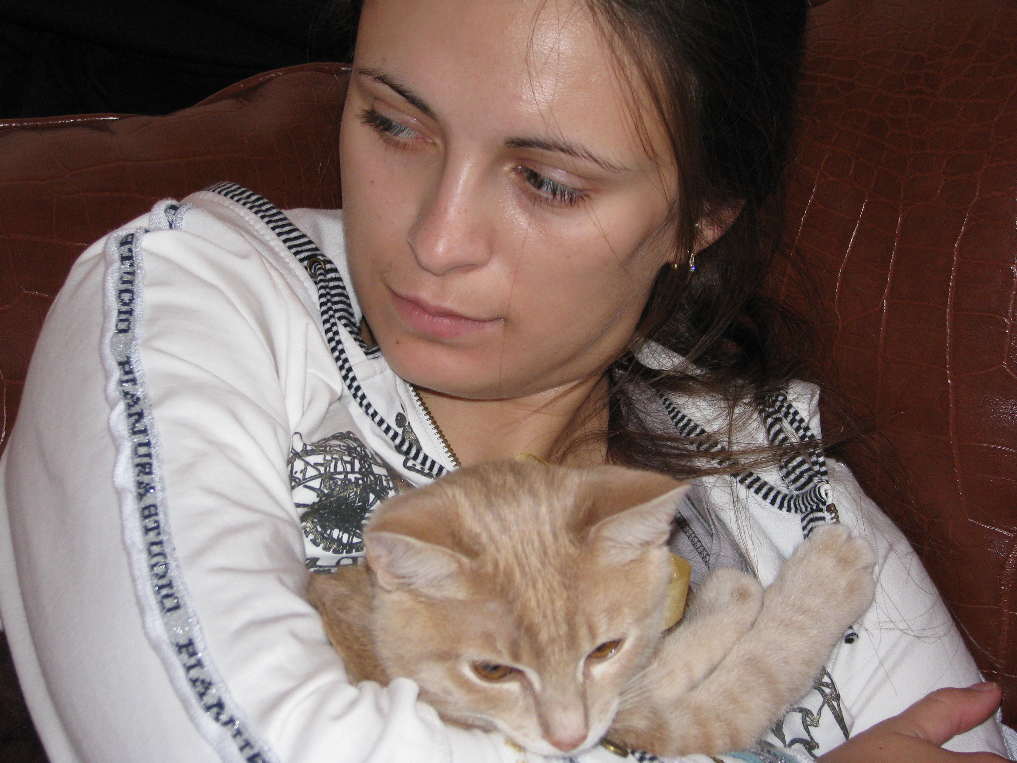 image-2