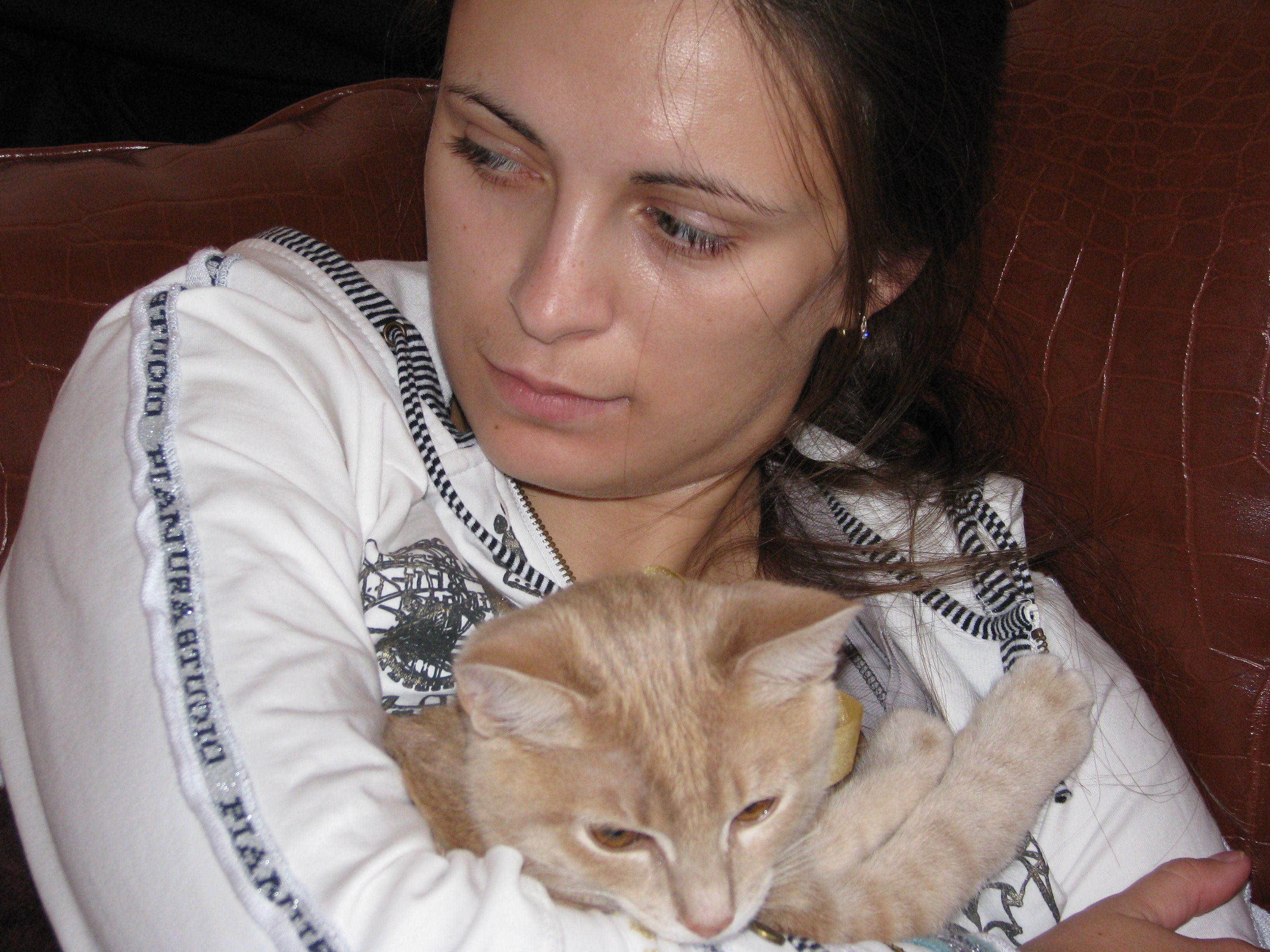 image-2