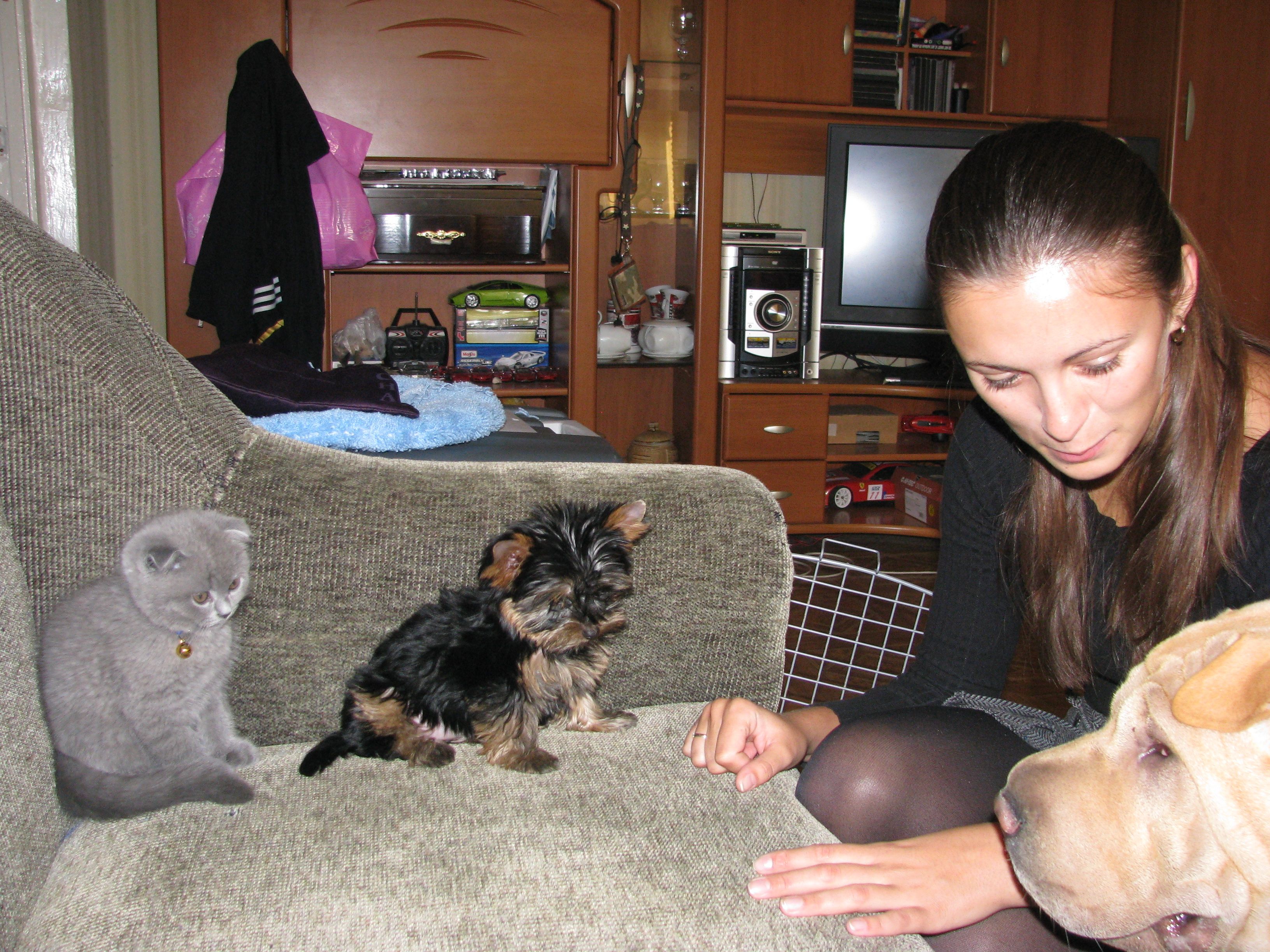 image-9