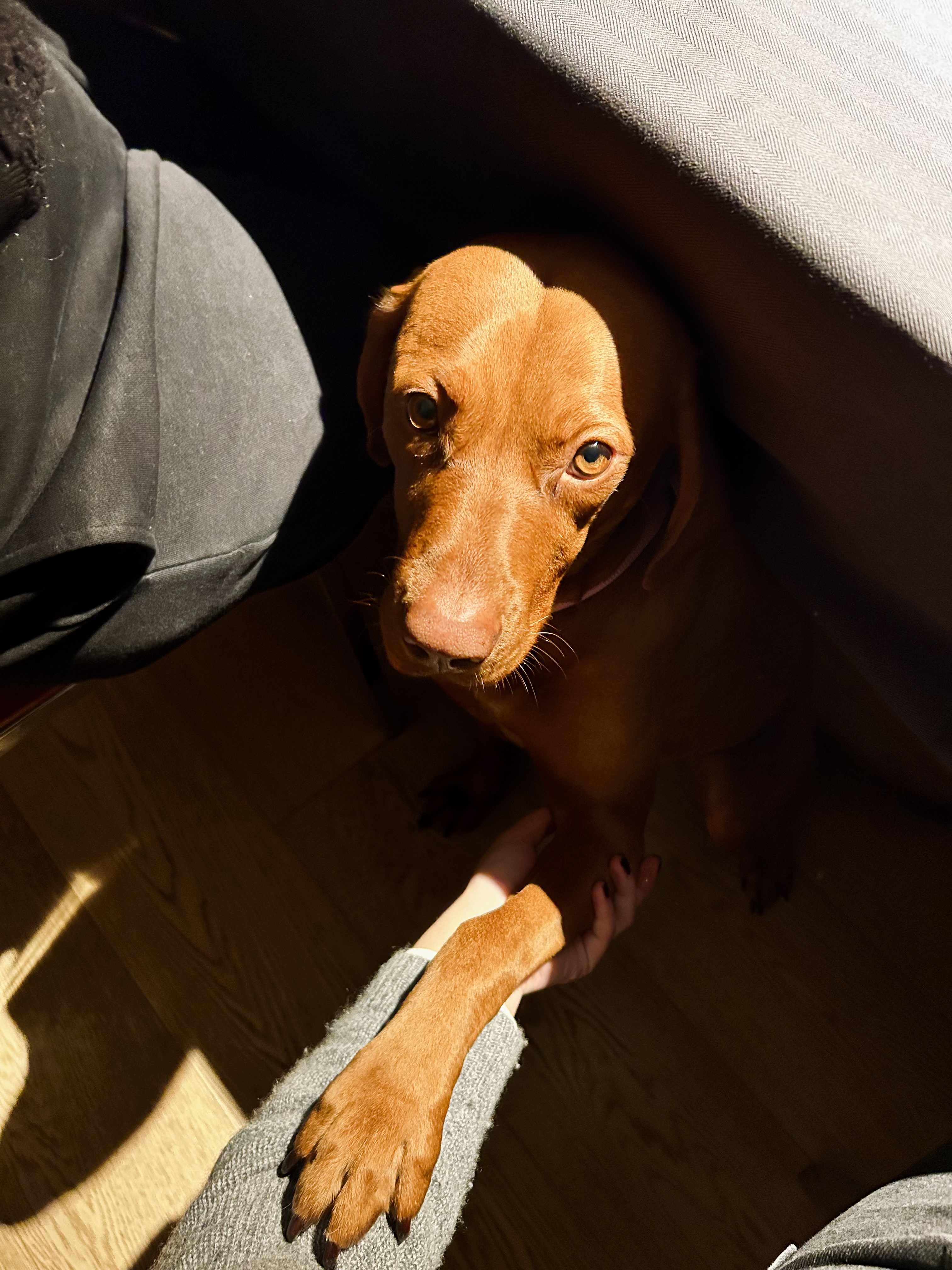image-8