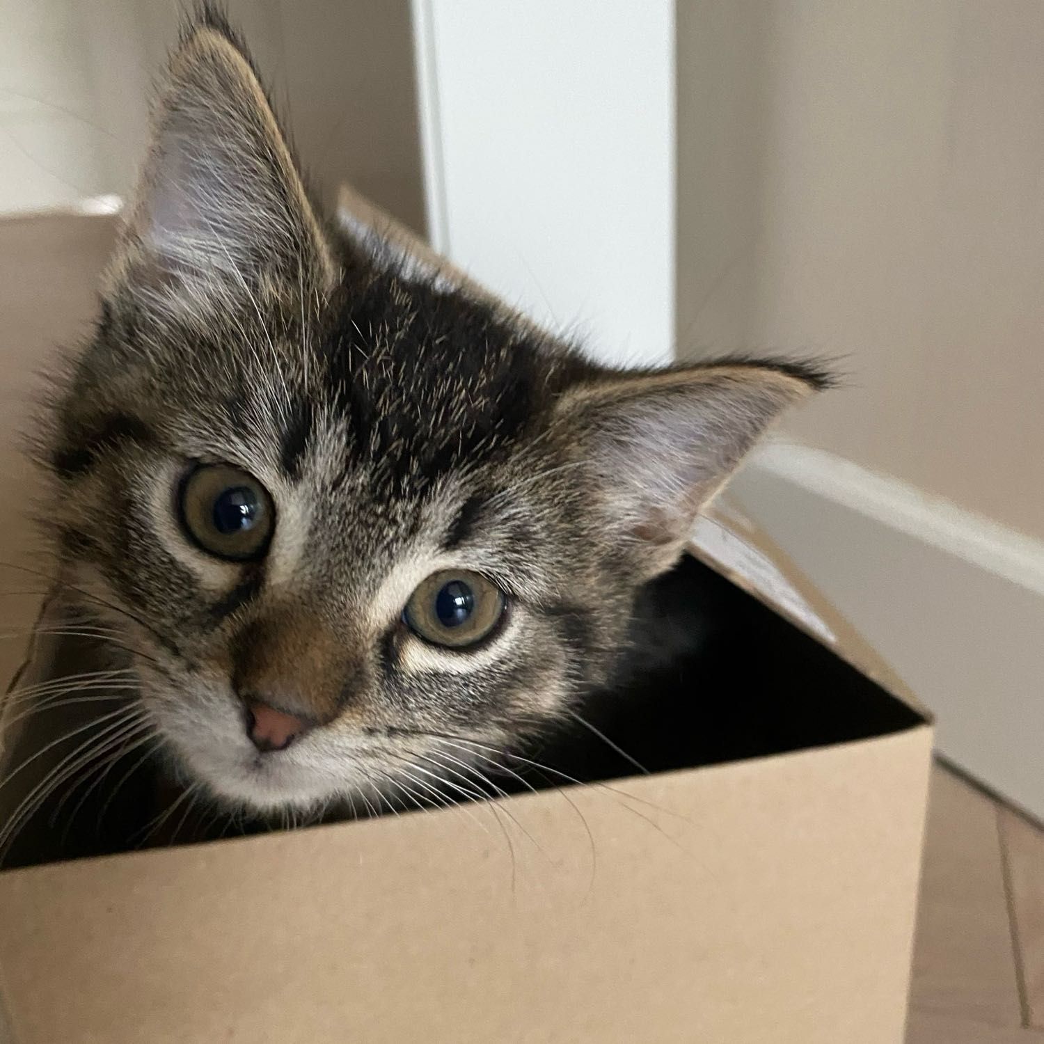 Luna
