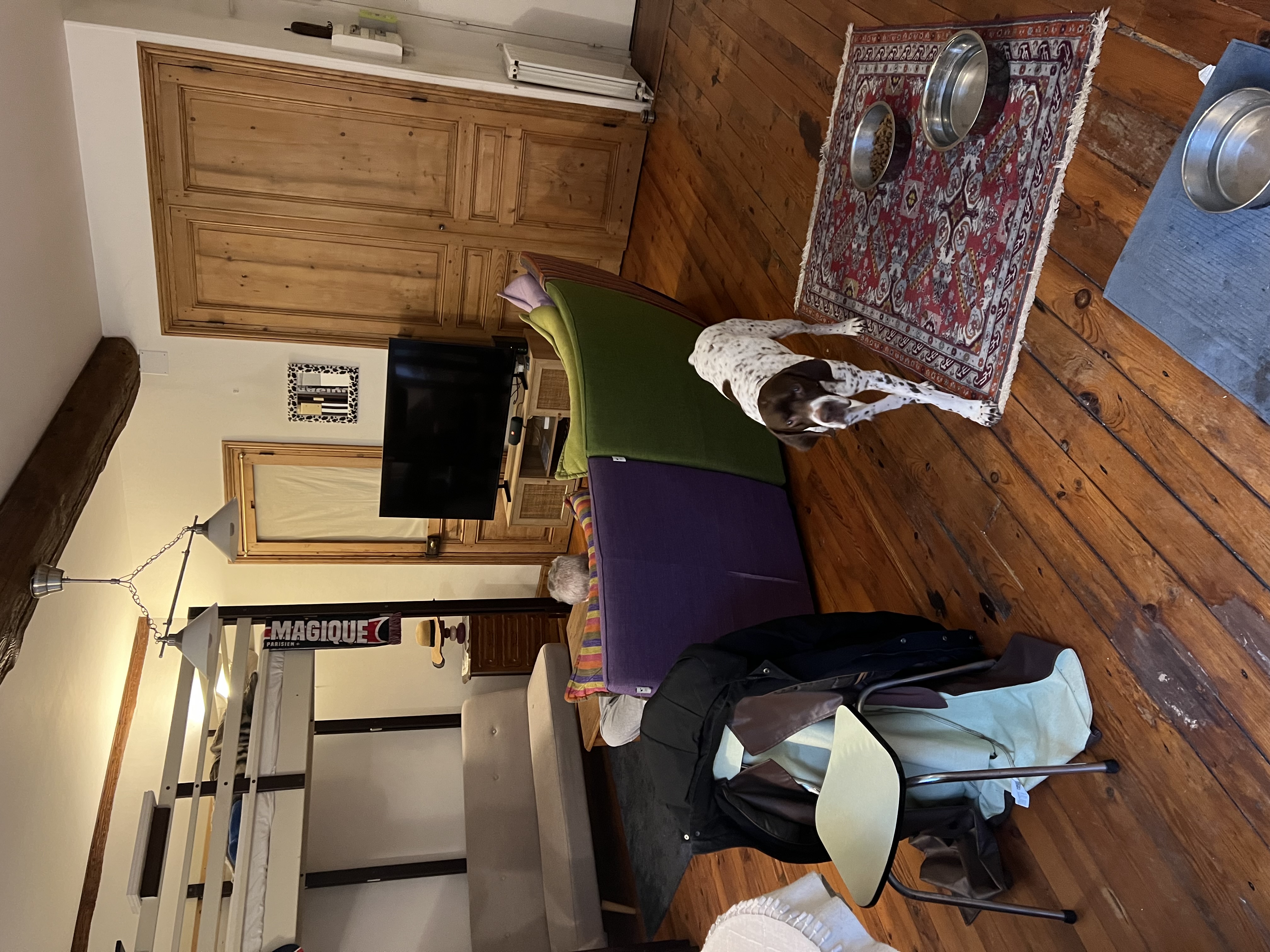 image-15