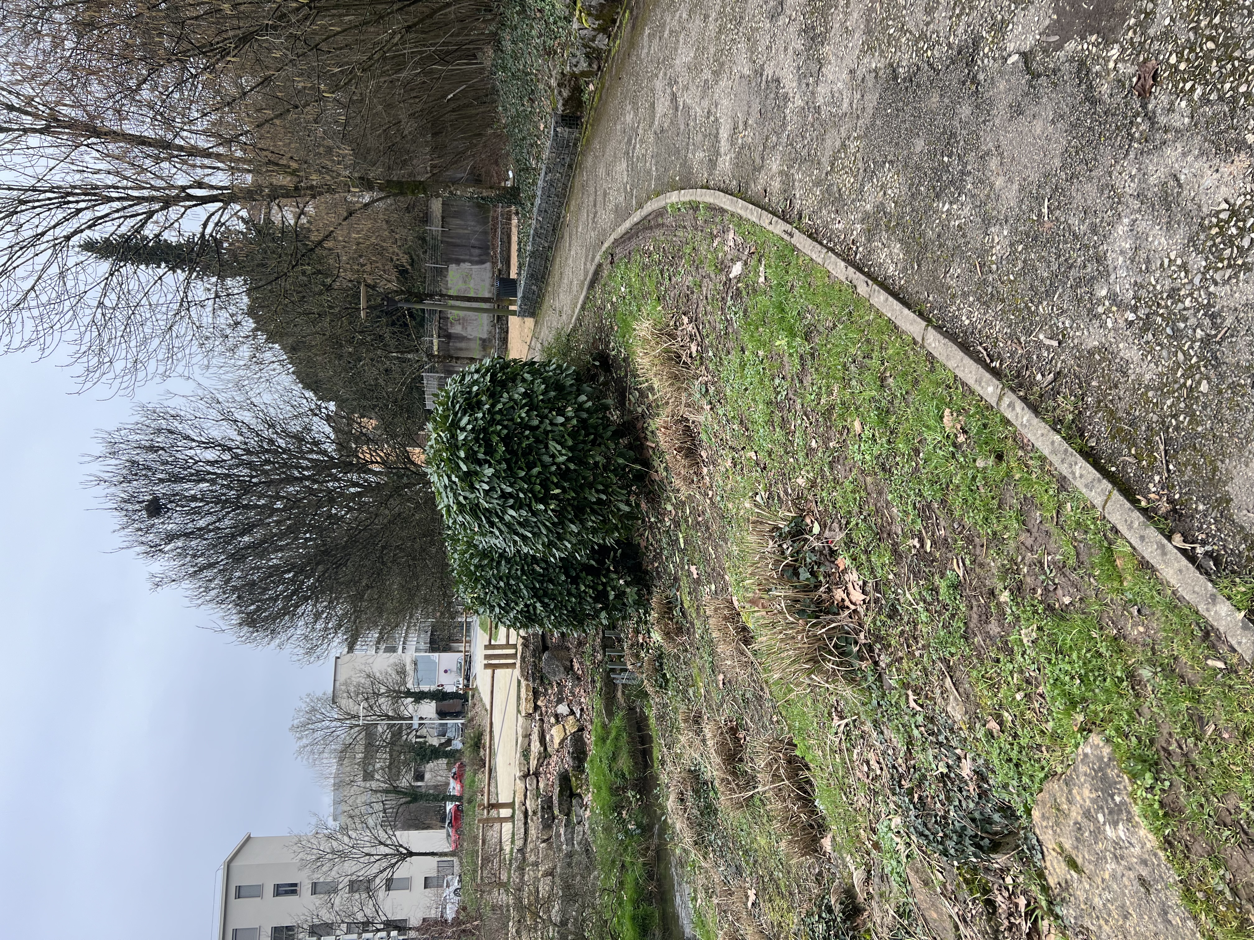 image-20