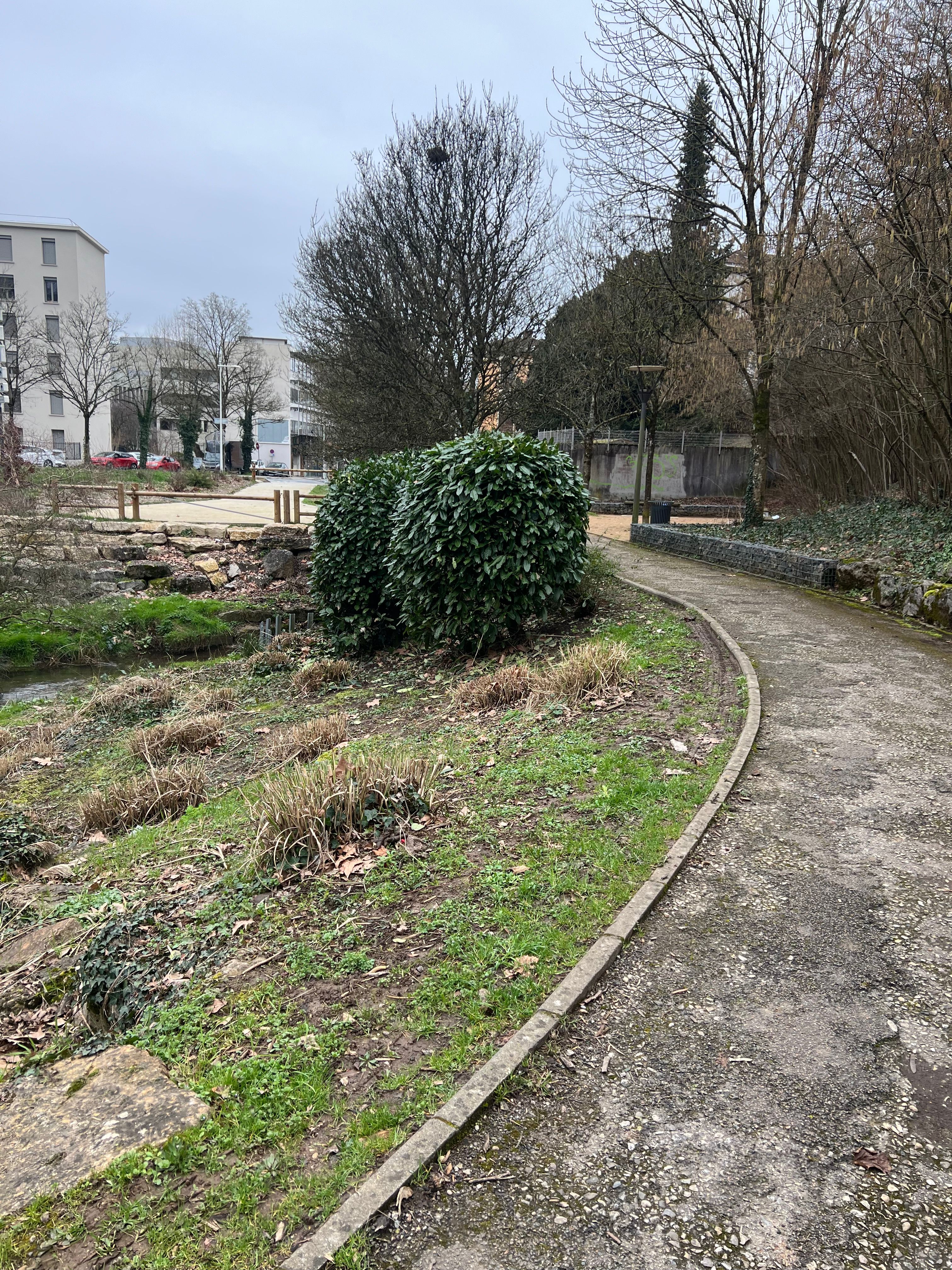 image-20