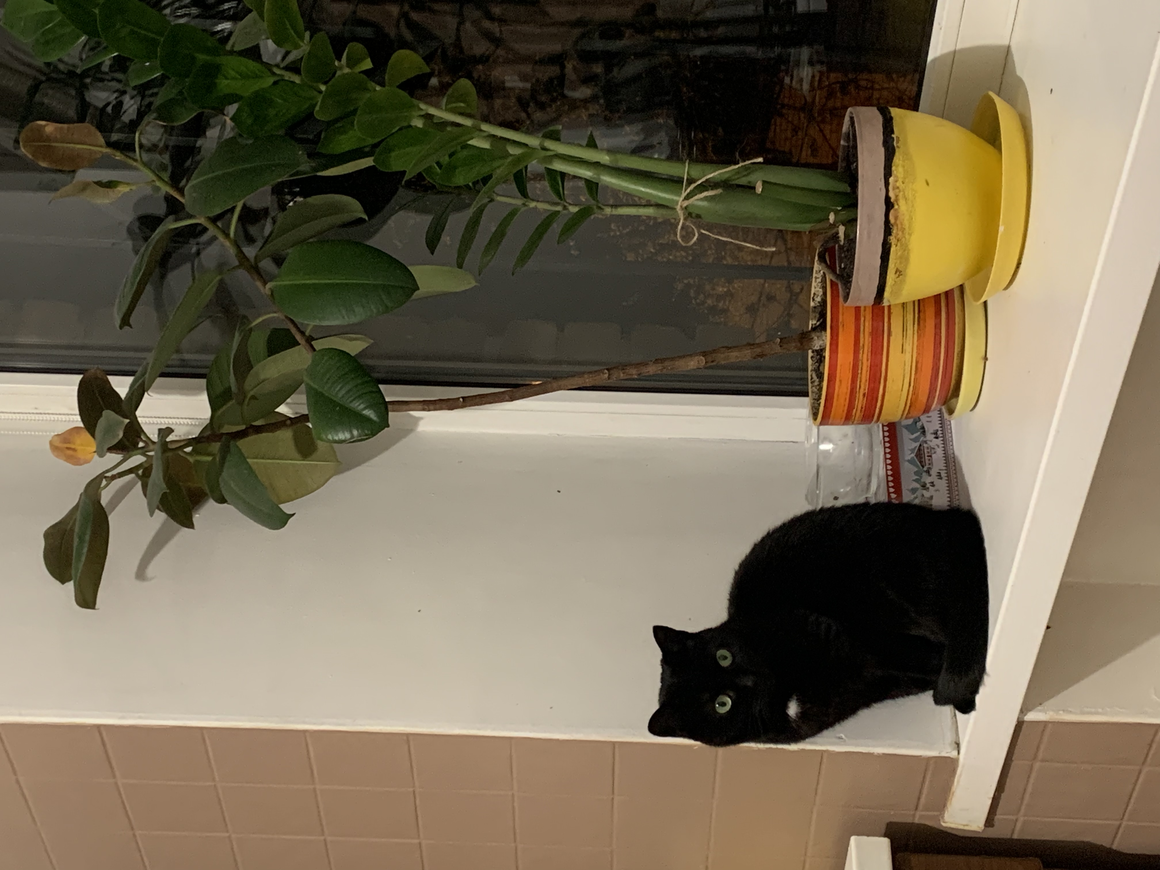 image-6