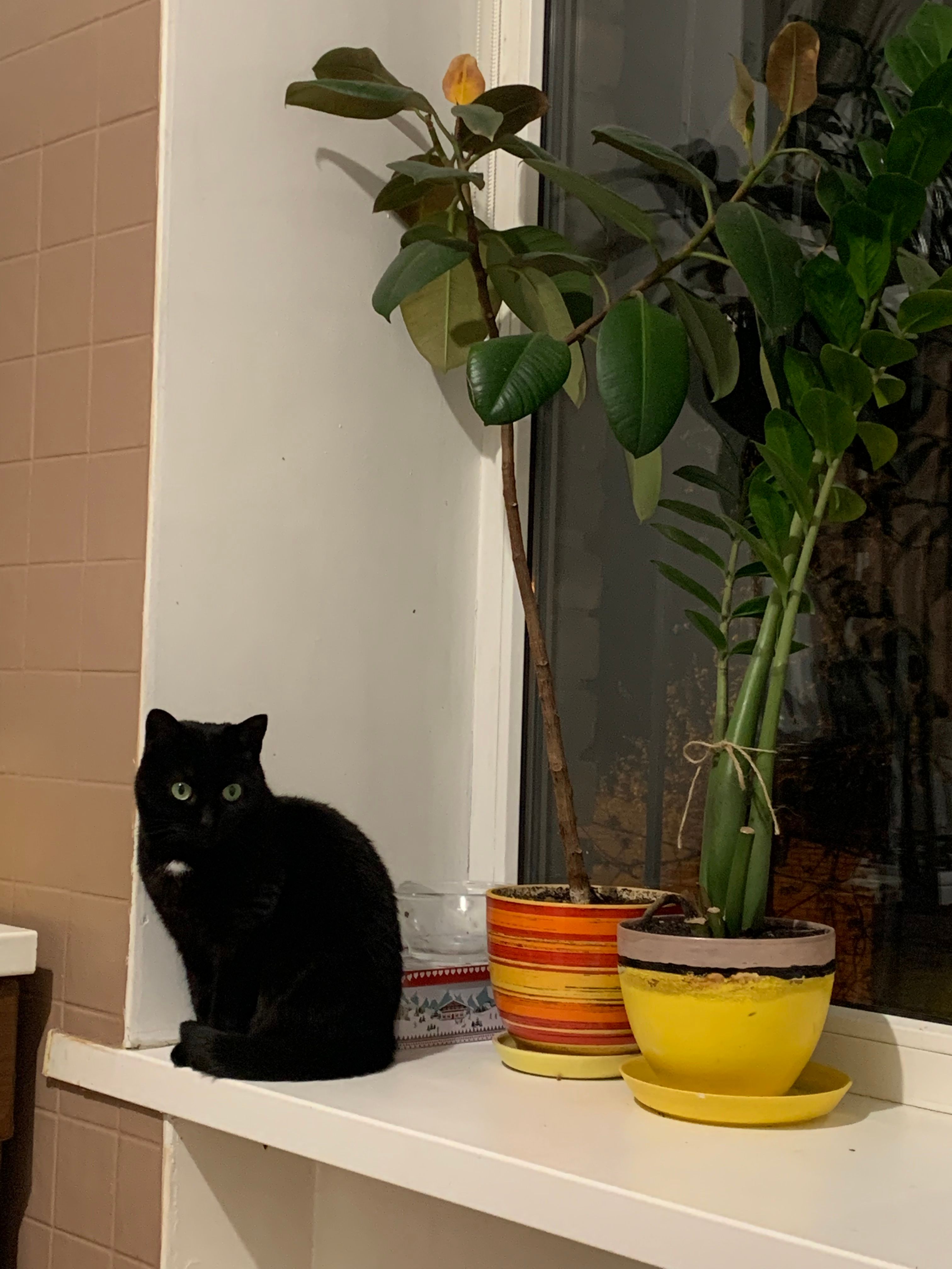 image-6