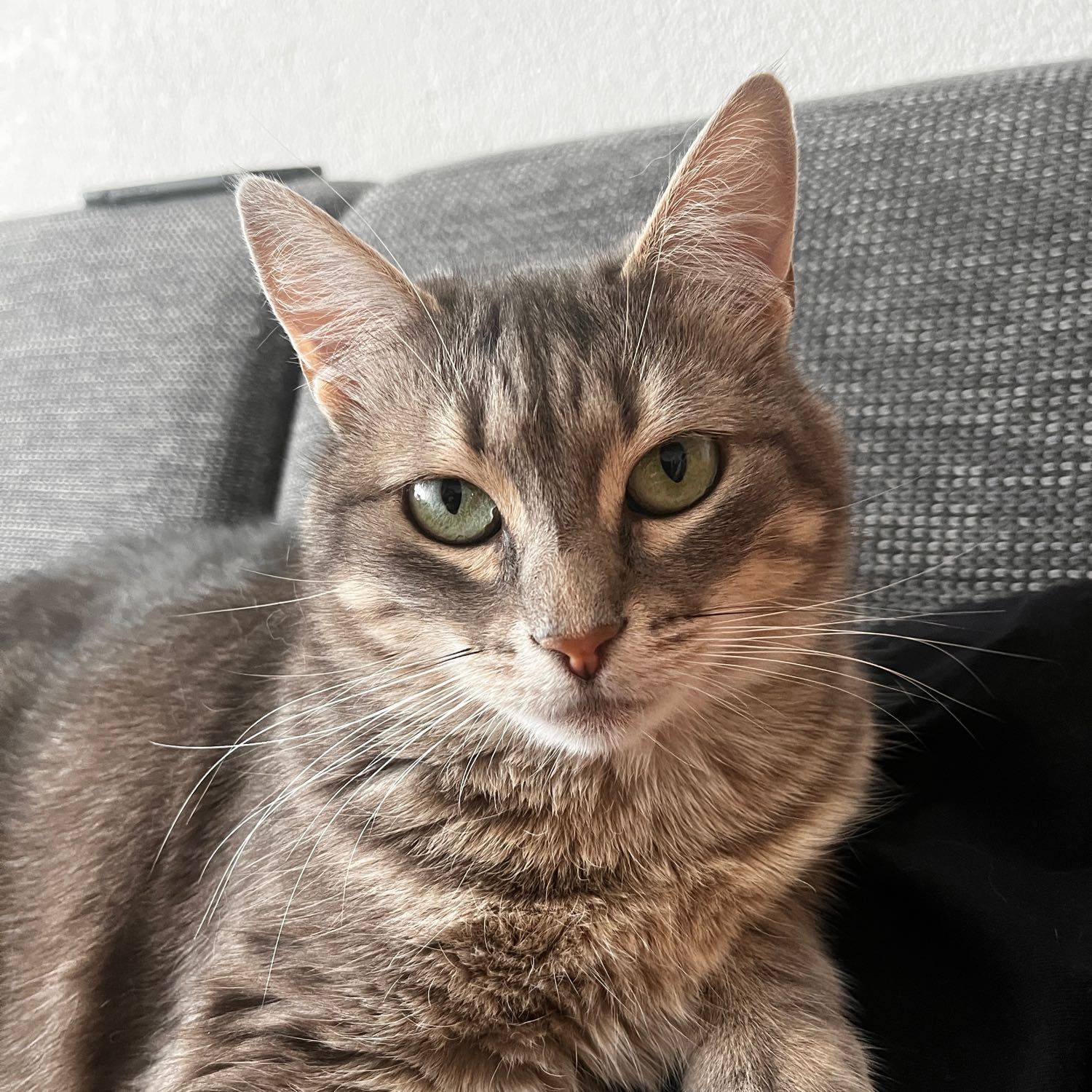 Salomé