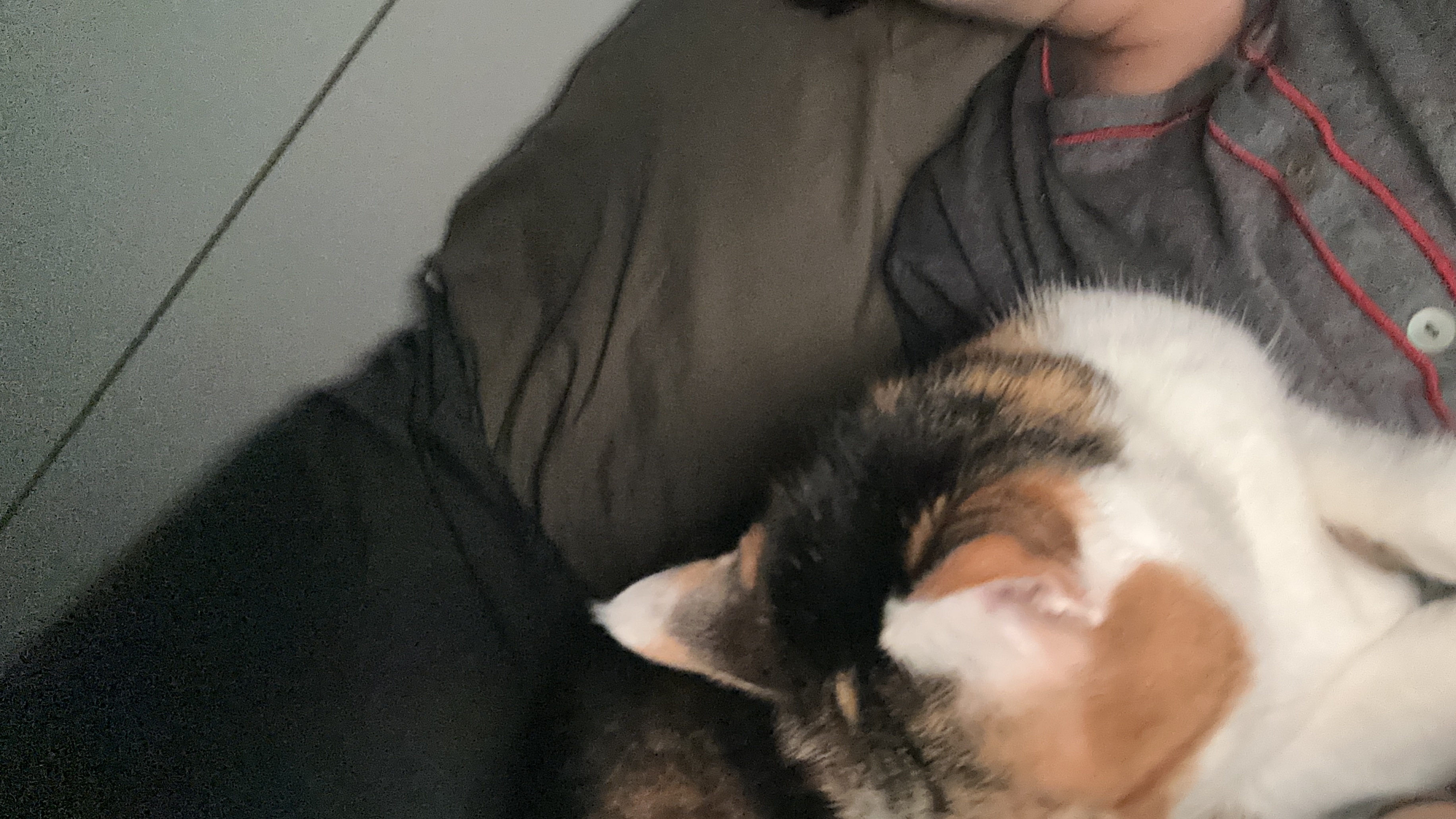 image-7