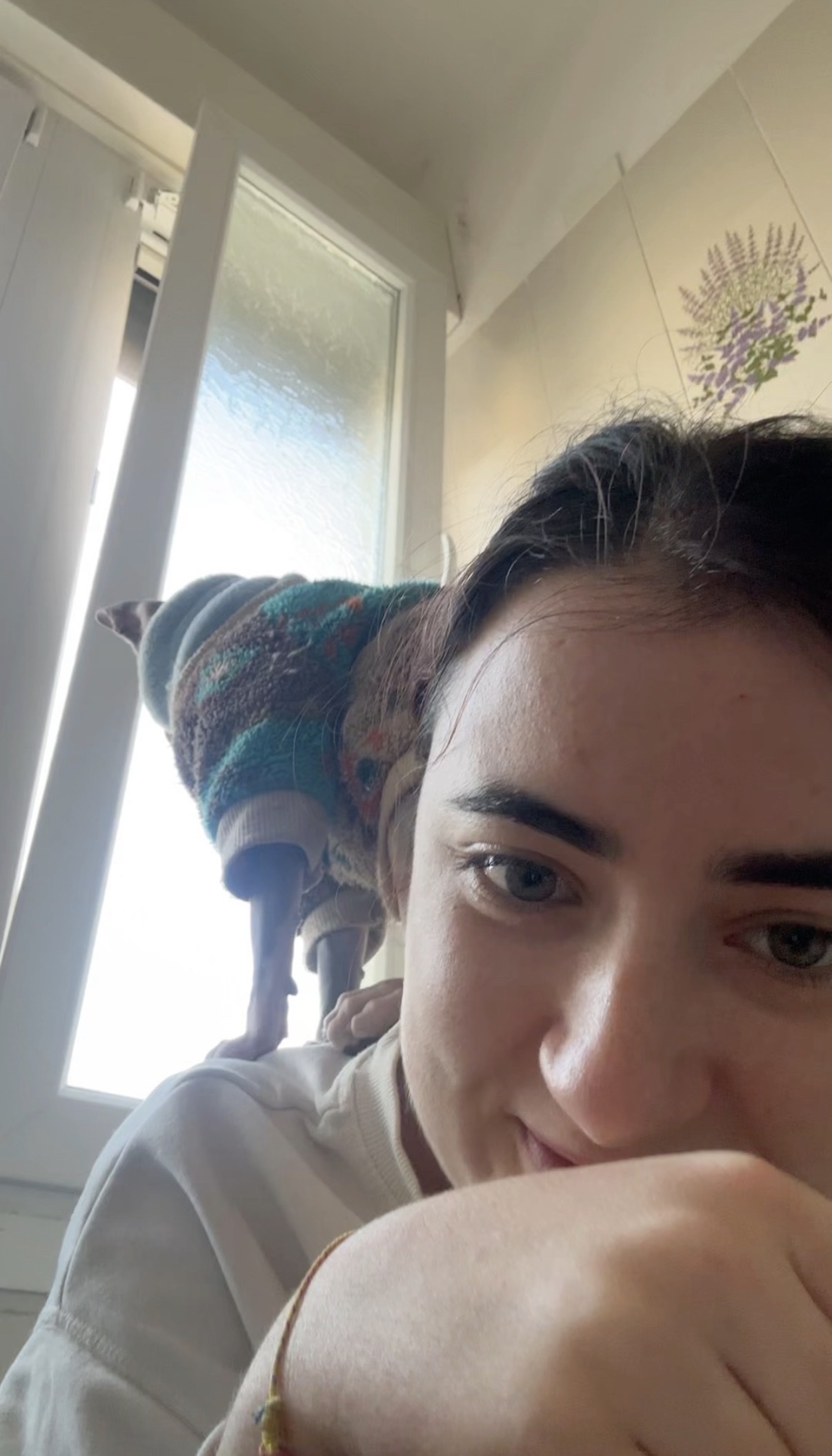 image-4