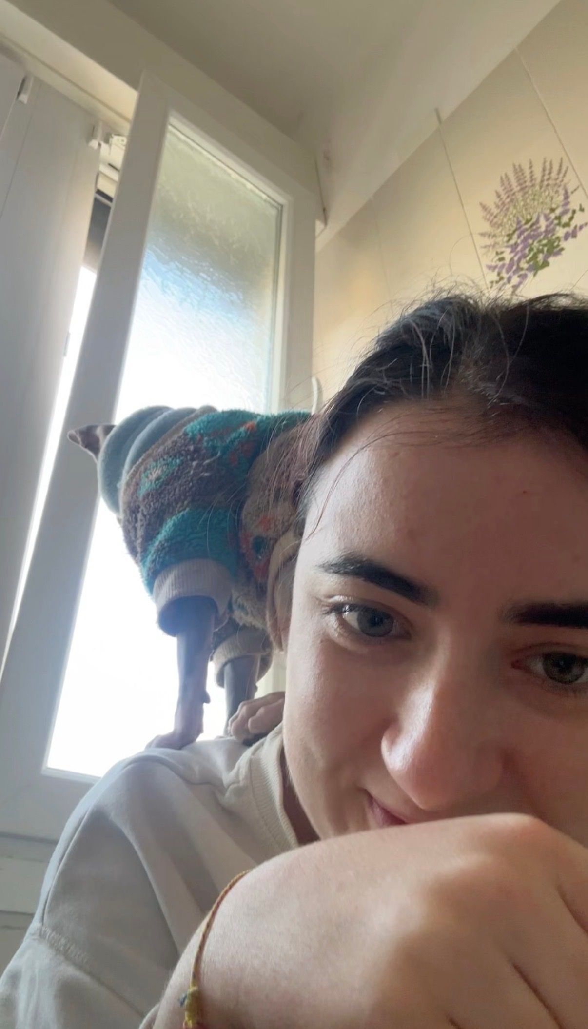 image-4
