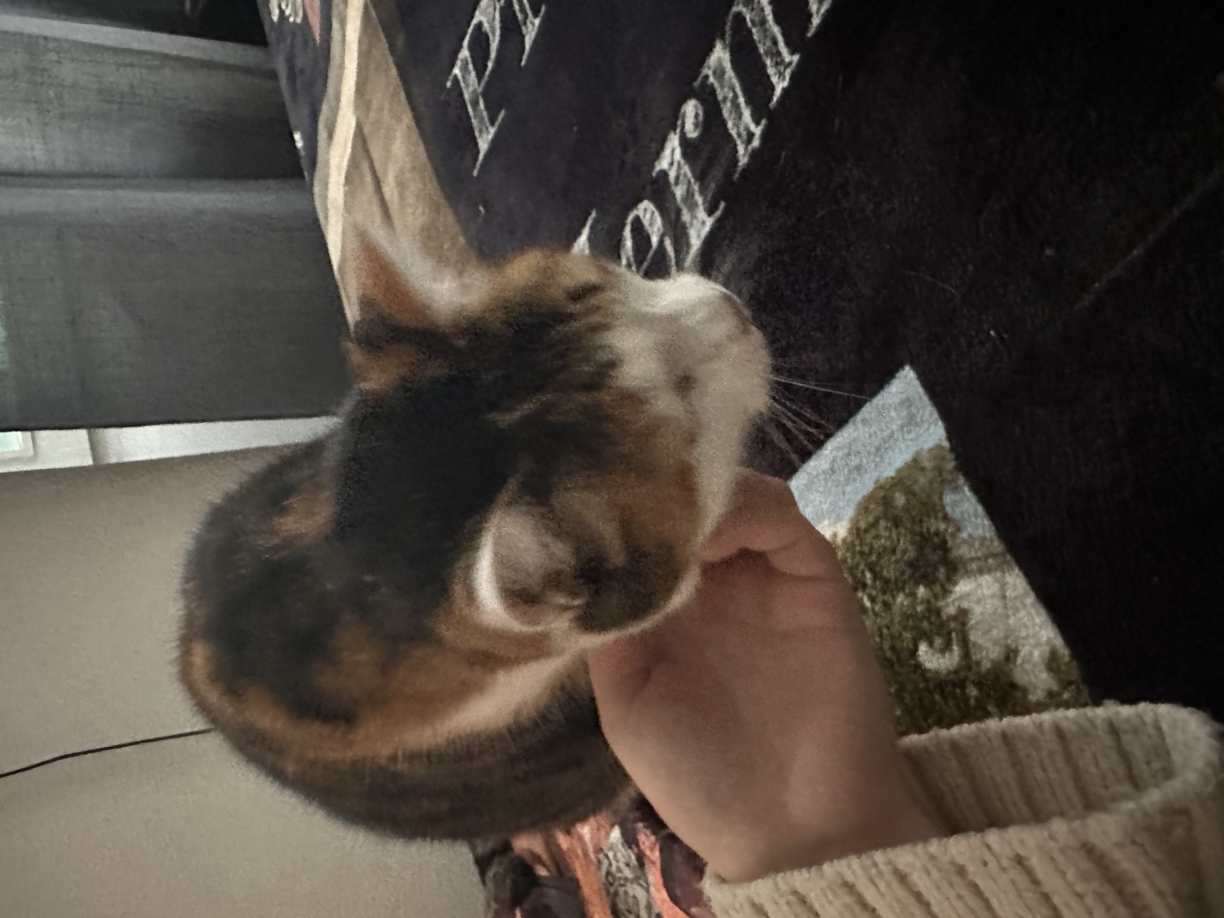 image-8