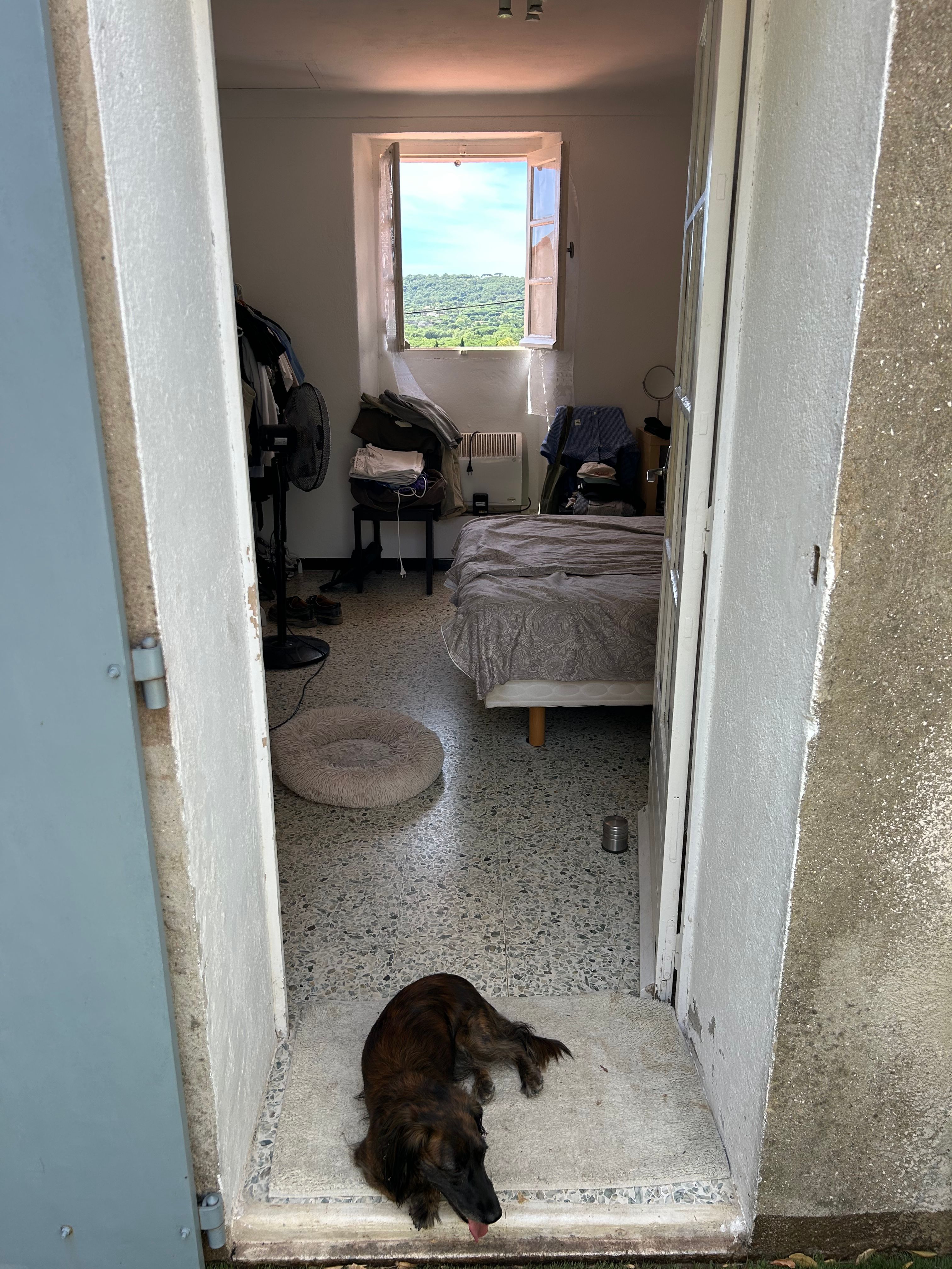 image-14