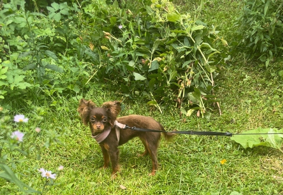 image-6