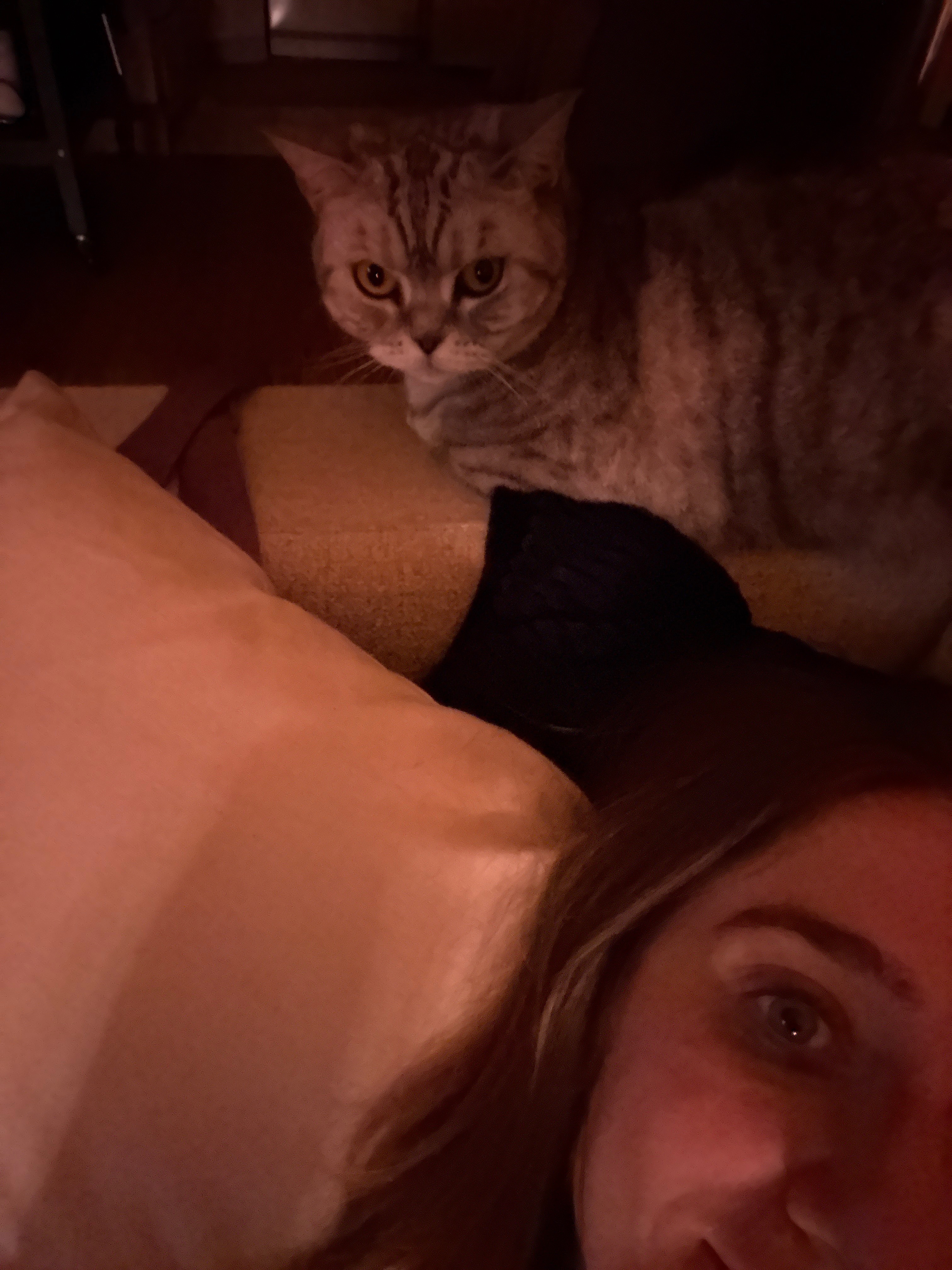 image-7